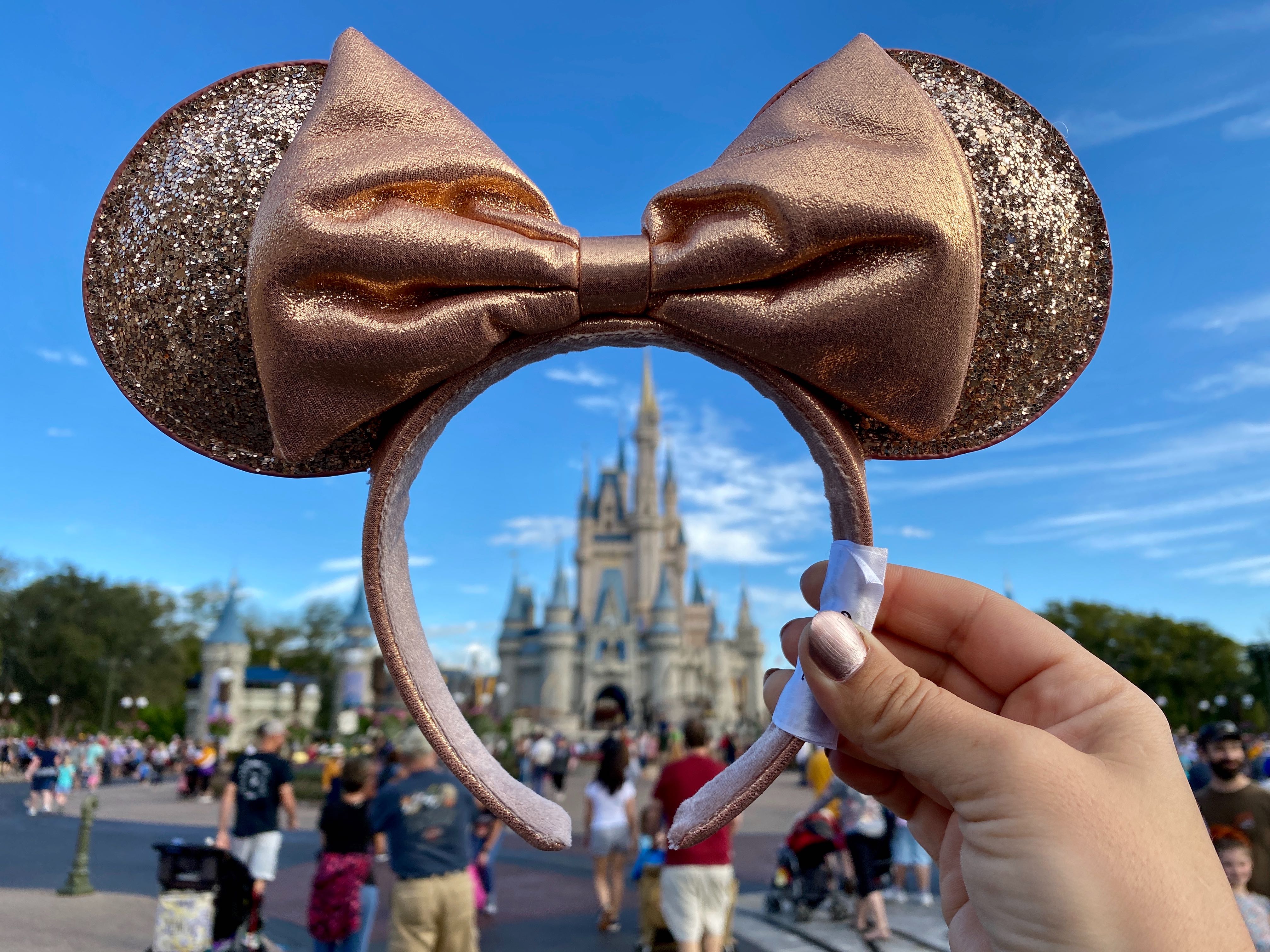 PHOTO REPORT Magic Kingdom 2/26/20 (New Rose Gold Minnie Ears