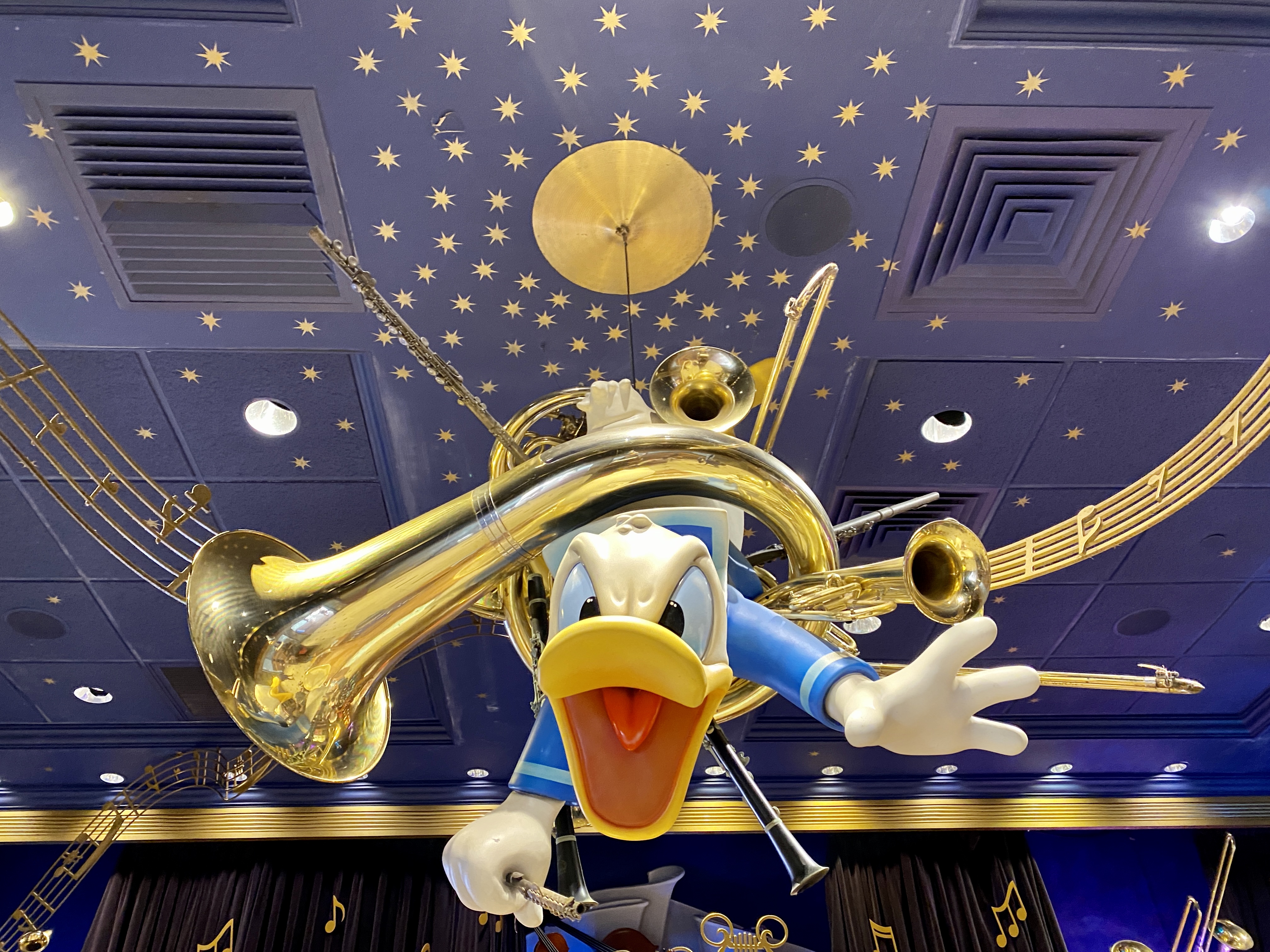 Look up