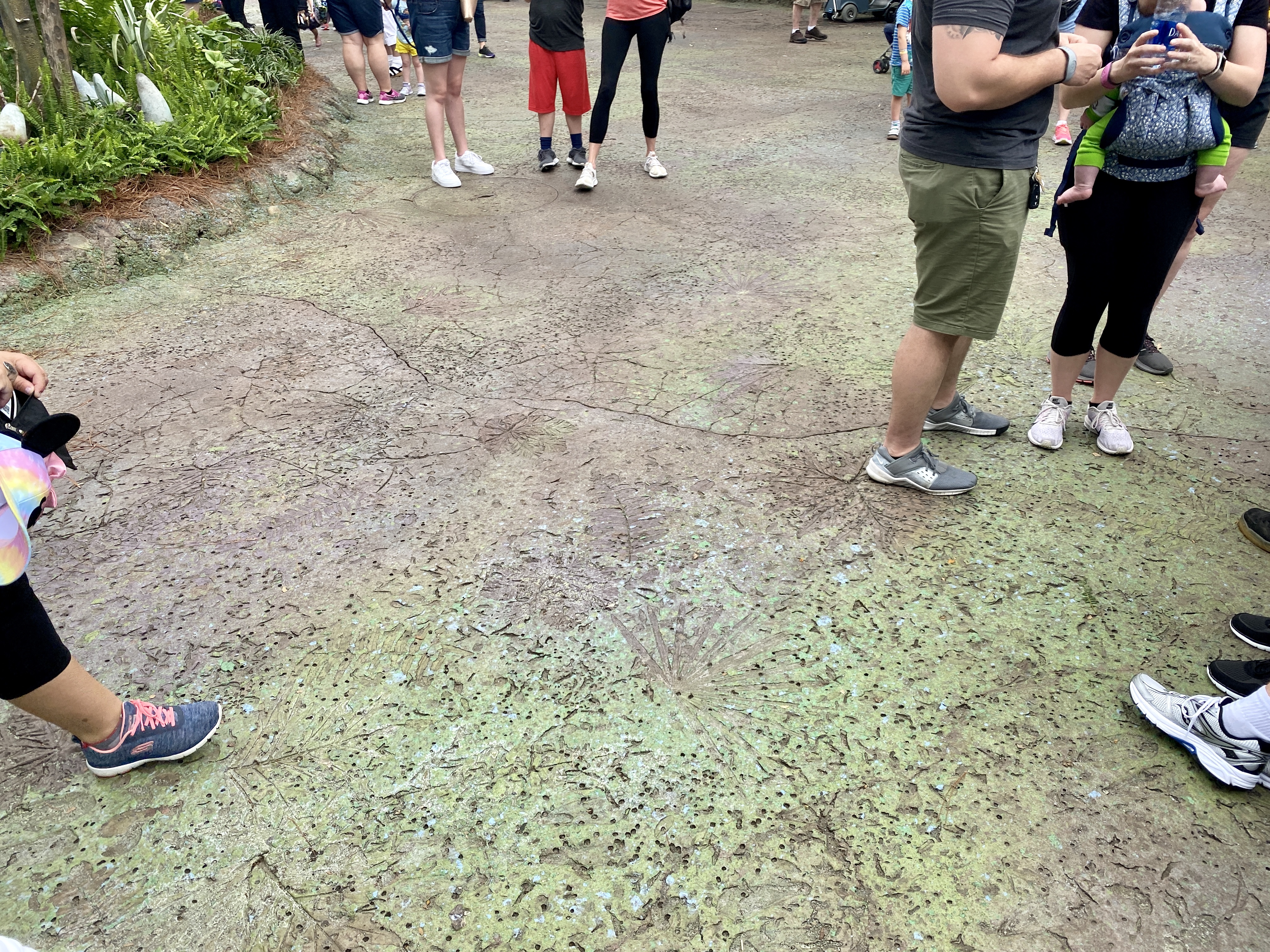 Pandora paint refurb