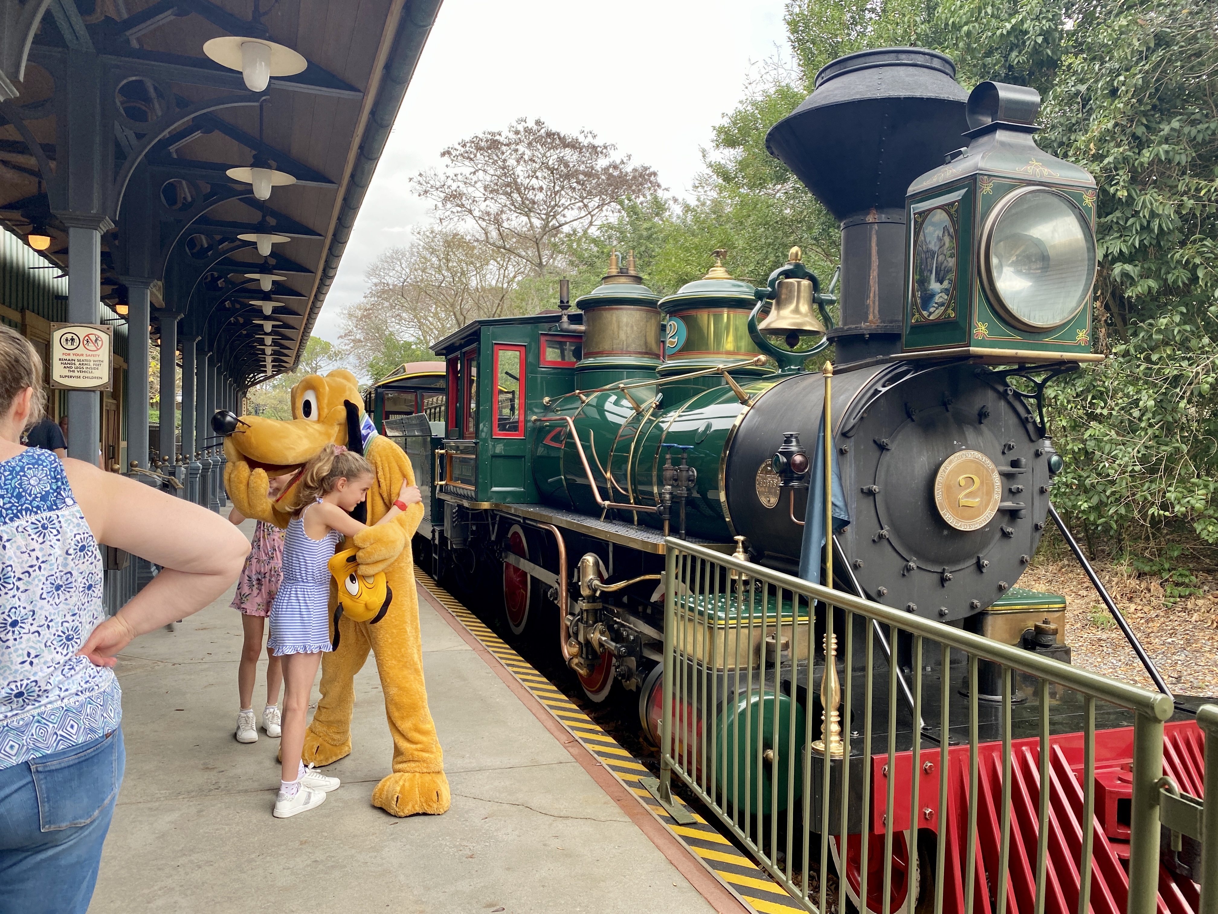 Pluto lily belle