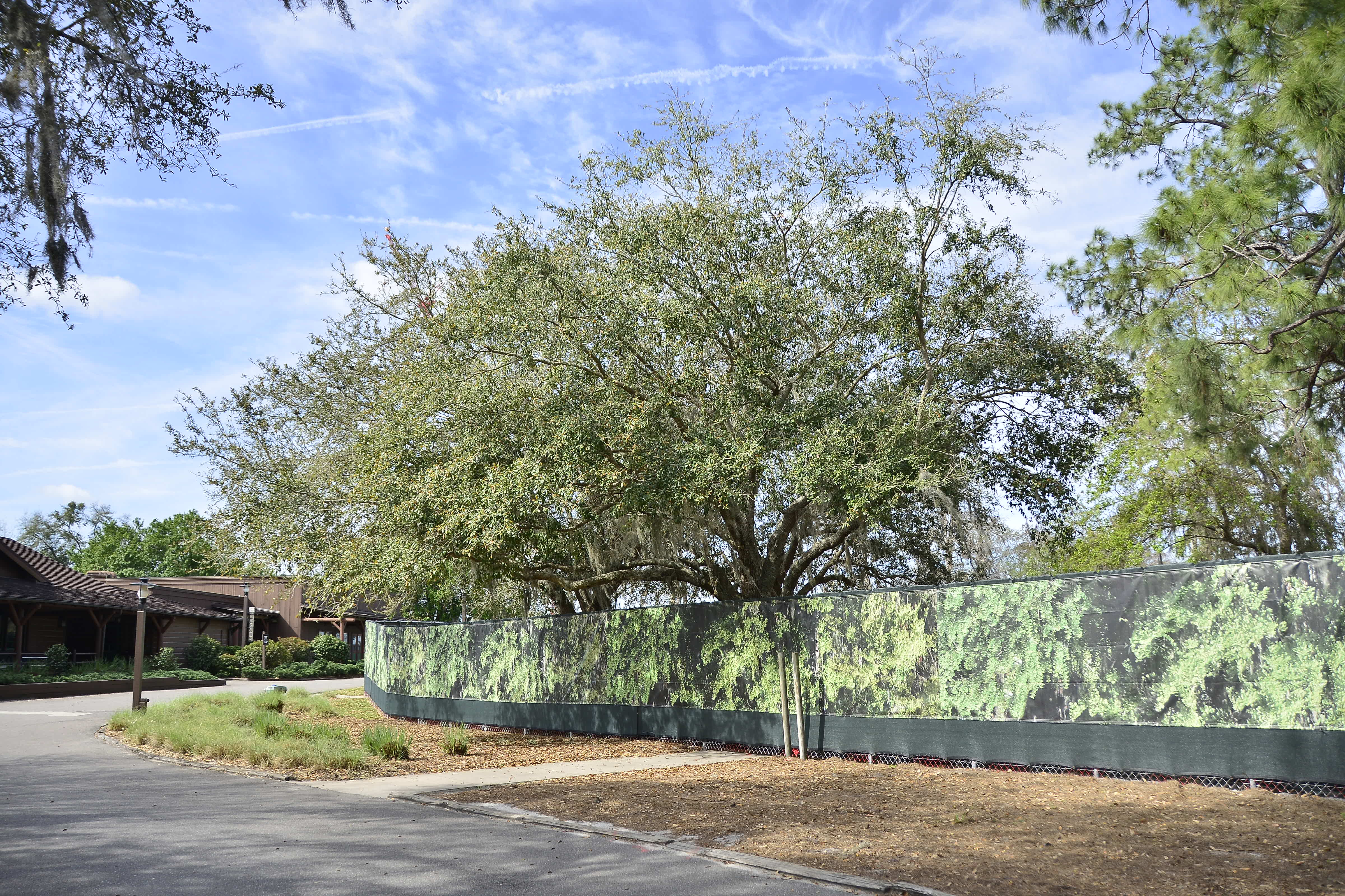 PHOTOS: Construction Continues on Reflections: A Disney Lakeside Lodge ...