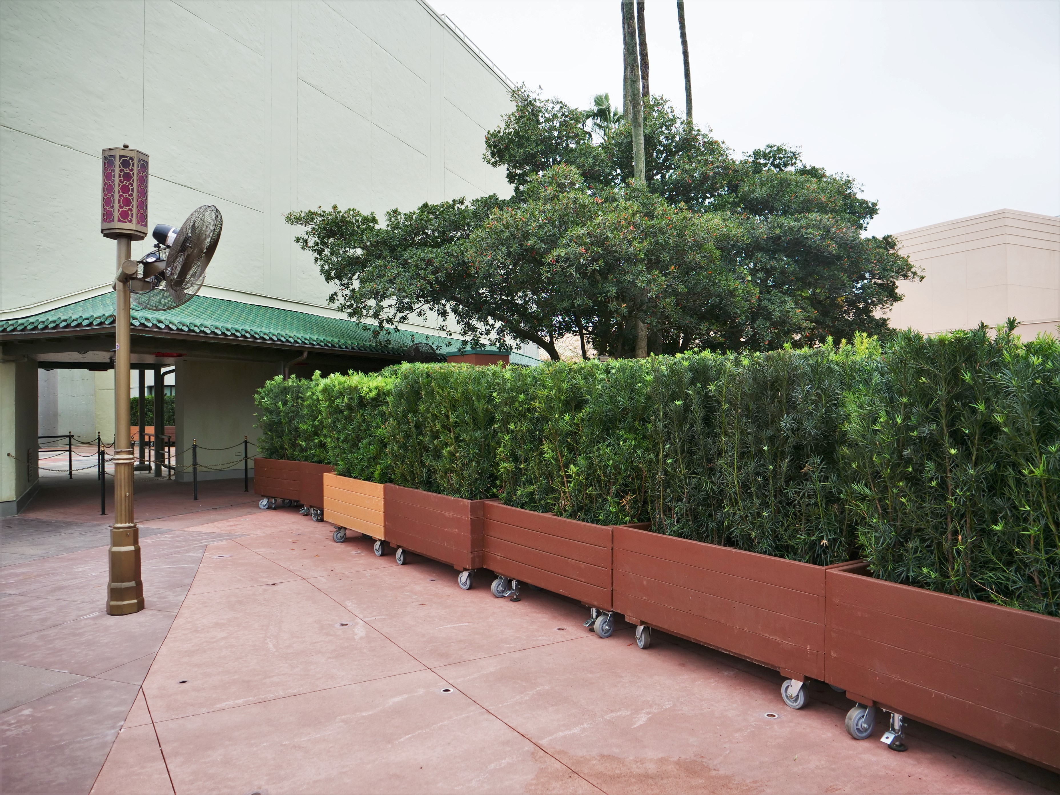 Rolling Planers Near Chinese Theater
