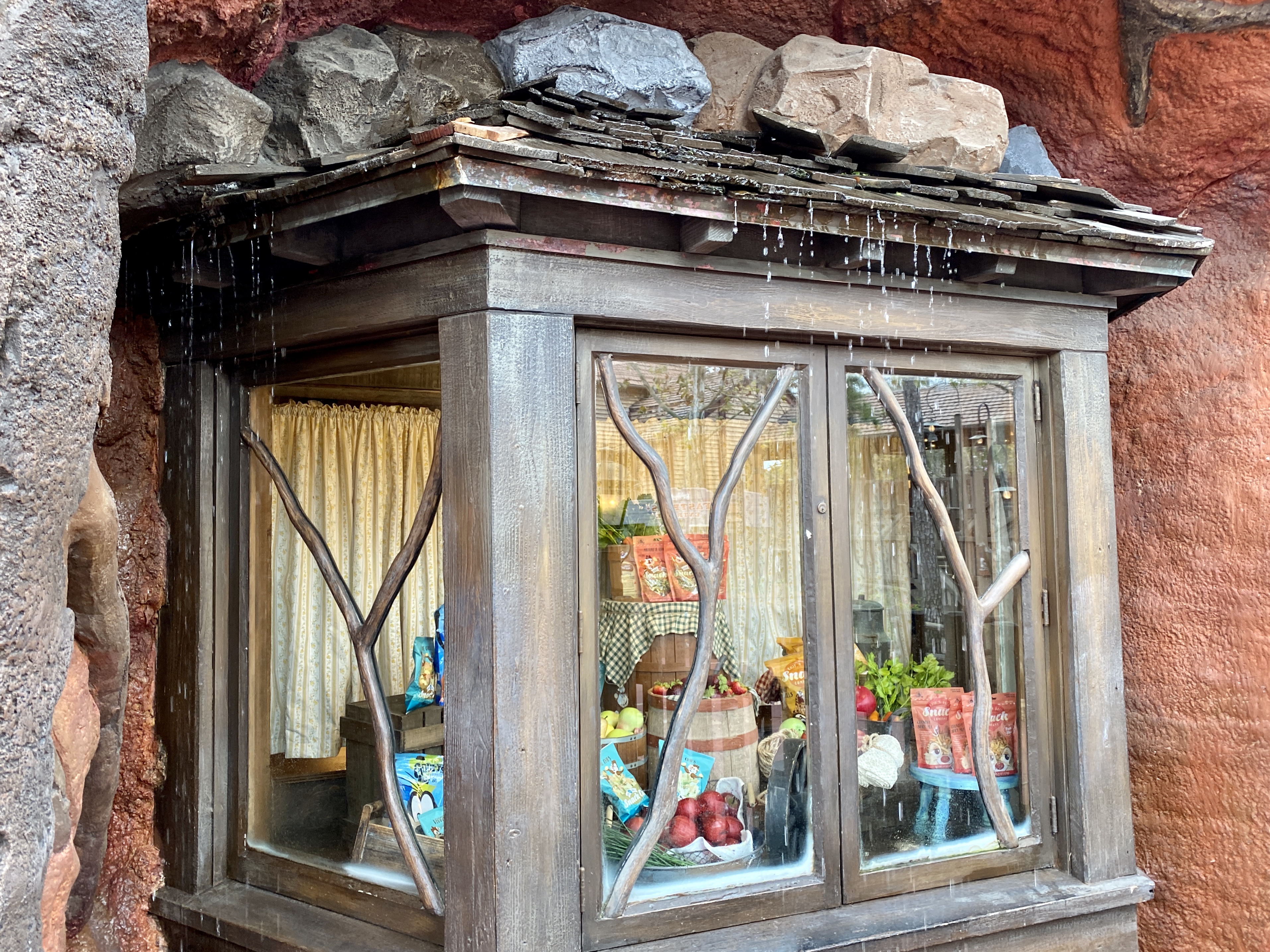 Splash mountain refurb leak briar patch