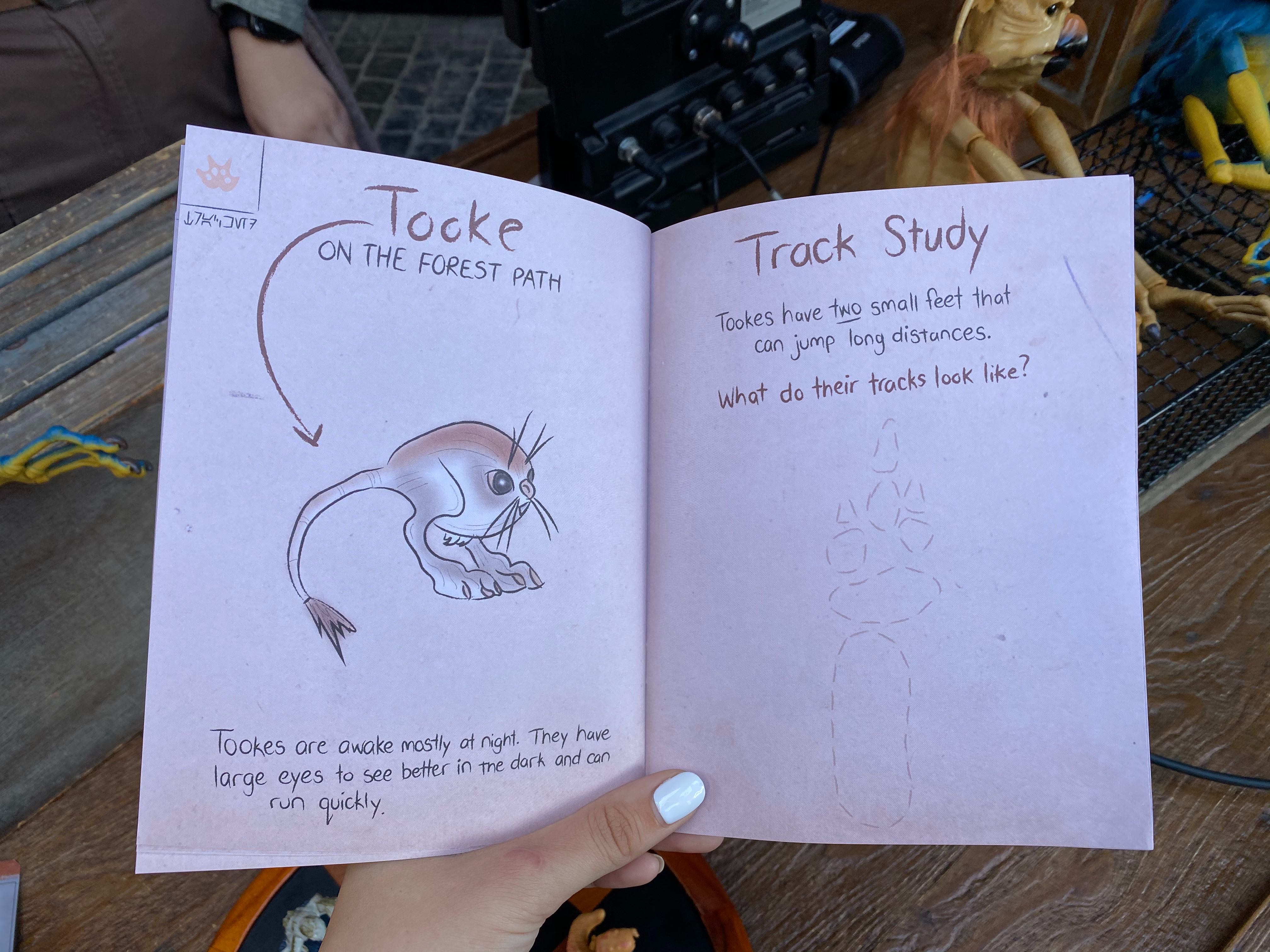 binas-guide-to-the-creatures-of-batuu-disneyland-02-20-2020-6.jpg