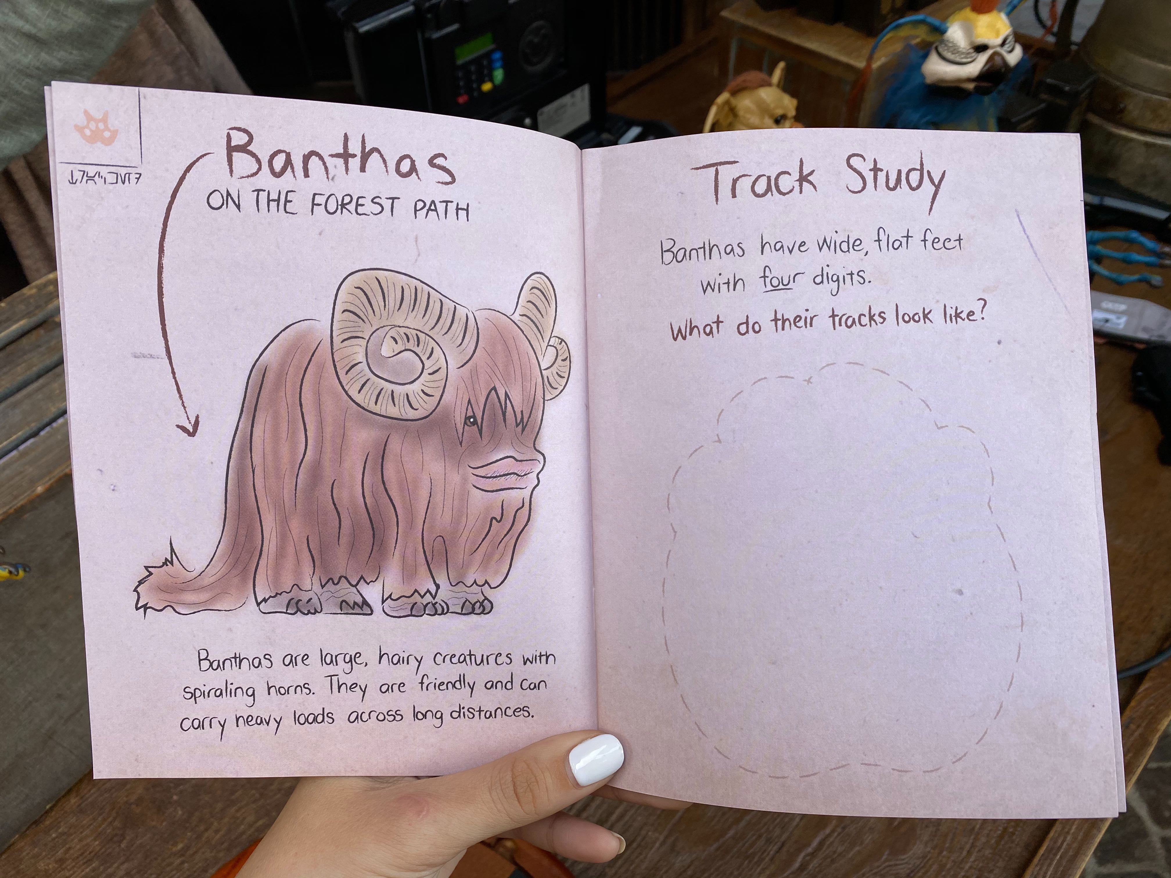 binas-guide-to-the-creatures-of-batuu-disneyland-02-20-2020-8.jpg