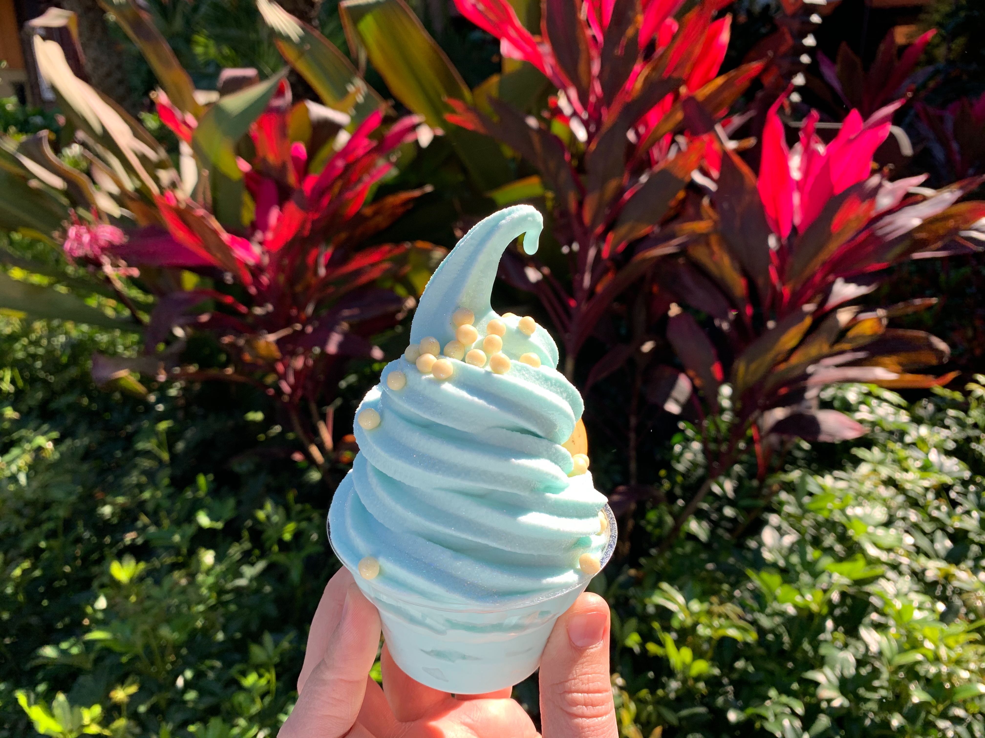 cinderella 70th dole whip Polynesian