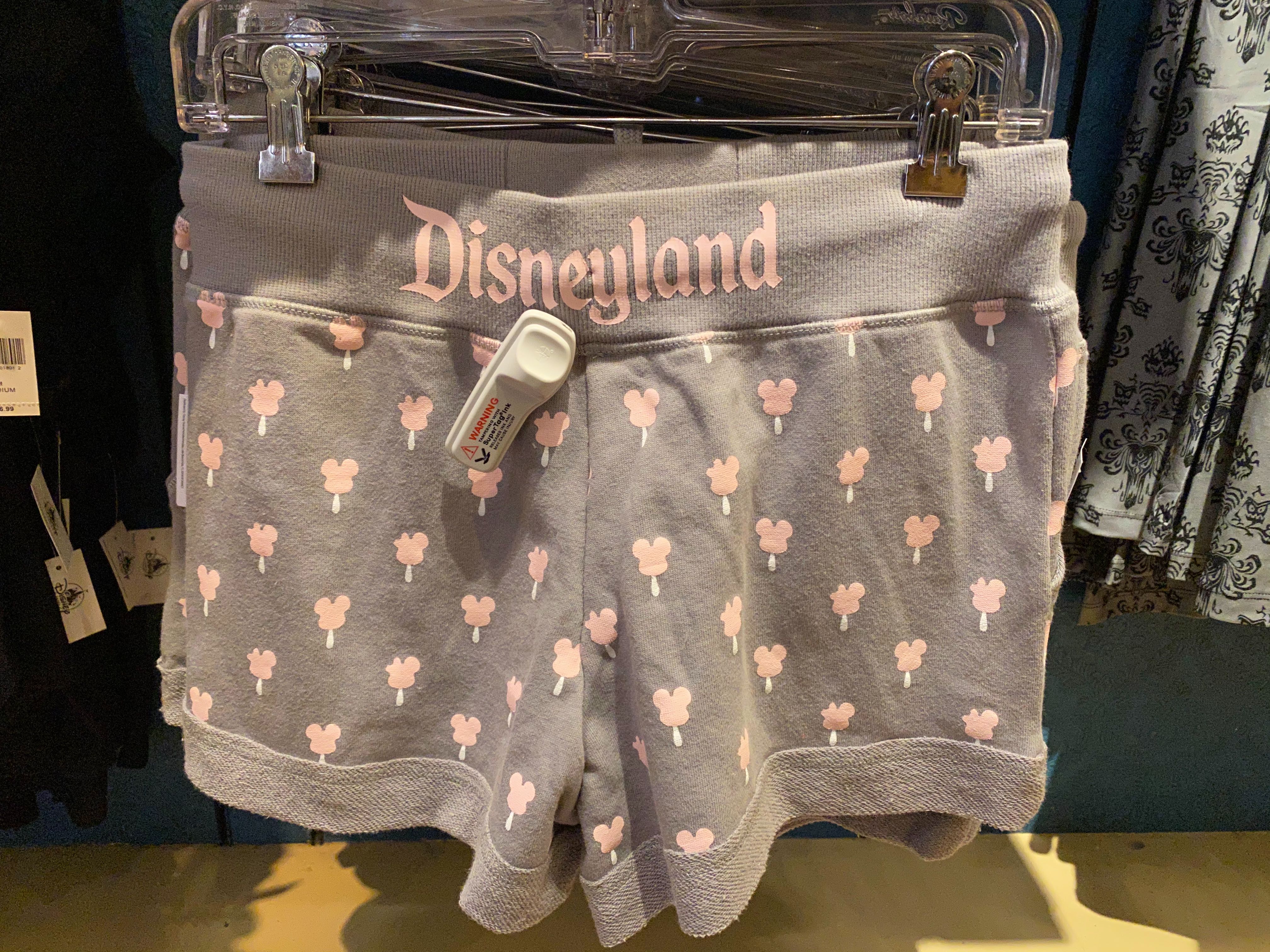 disneyland-icon-merch-02-23-2020-13.jpg