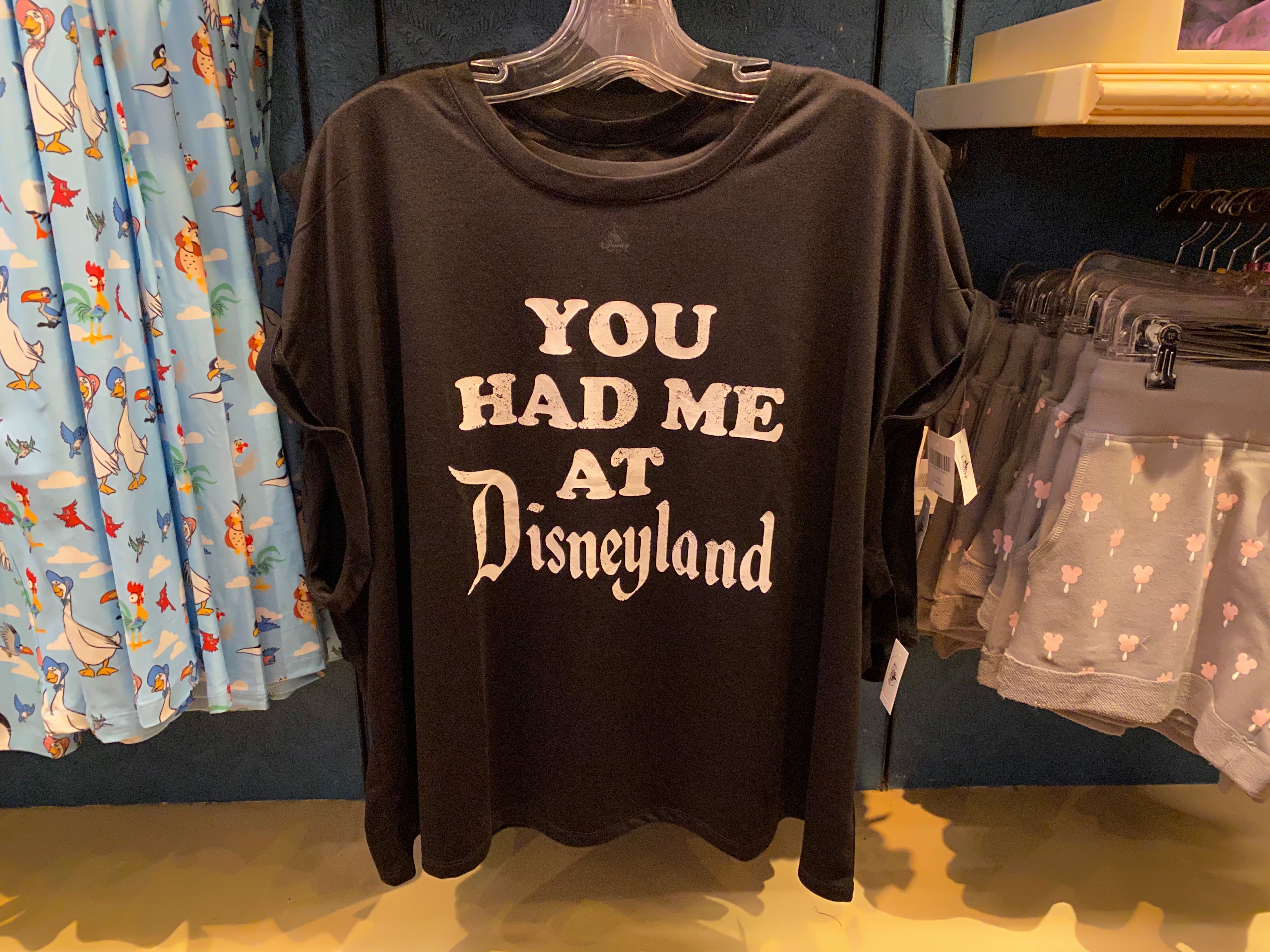 disneyland-icon-merch-02-23-2020-17.jpg