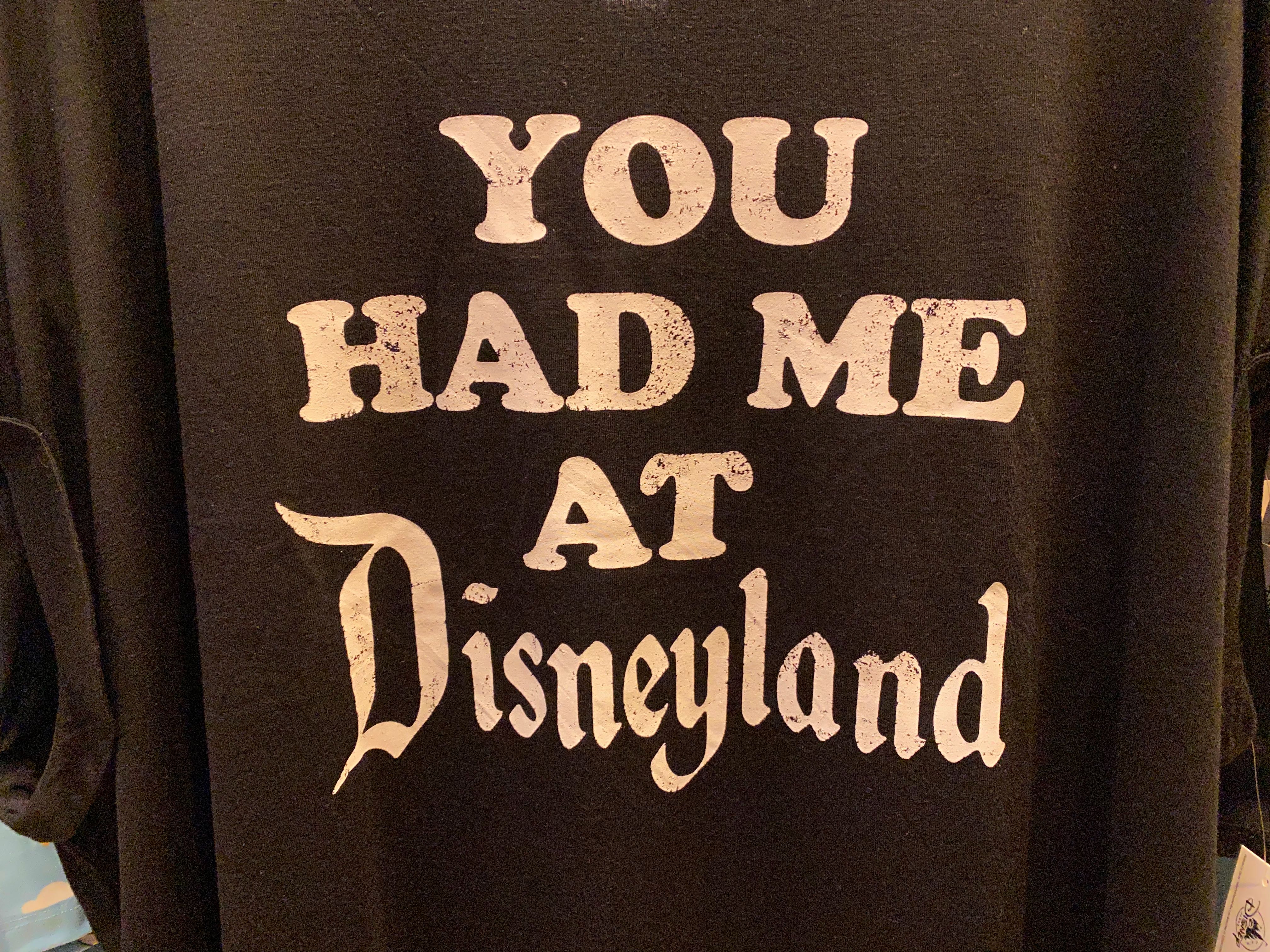 disneyland-icon-merch-02-23-2020-18.jpg