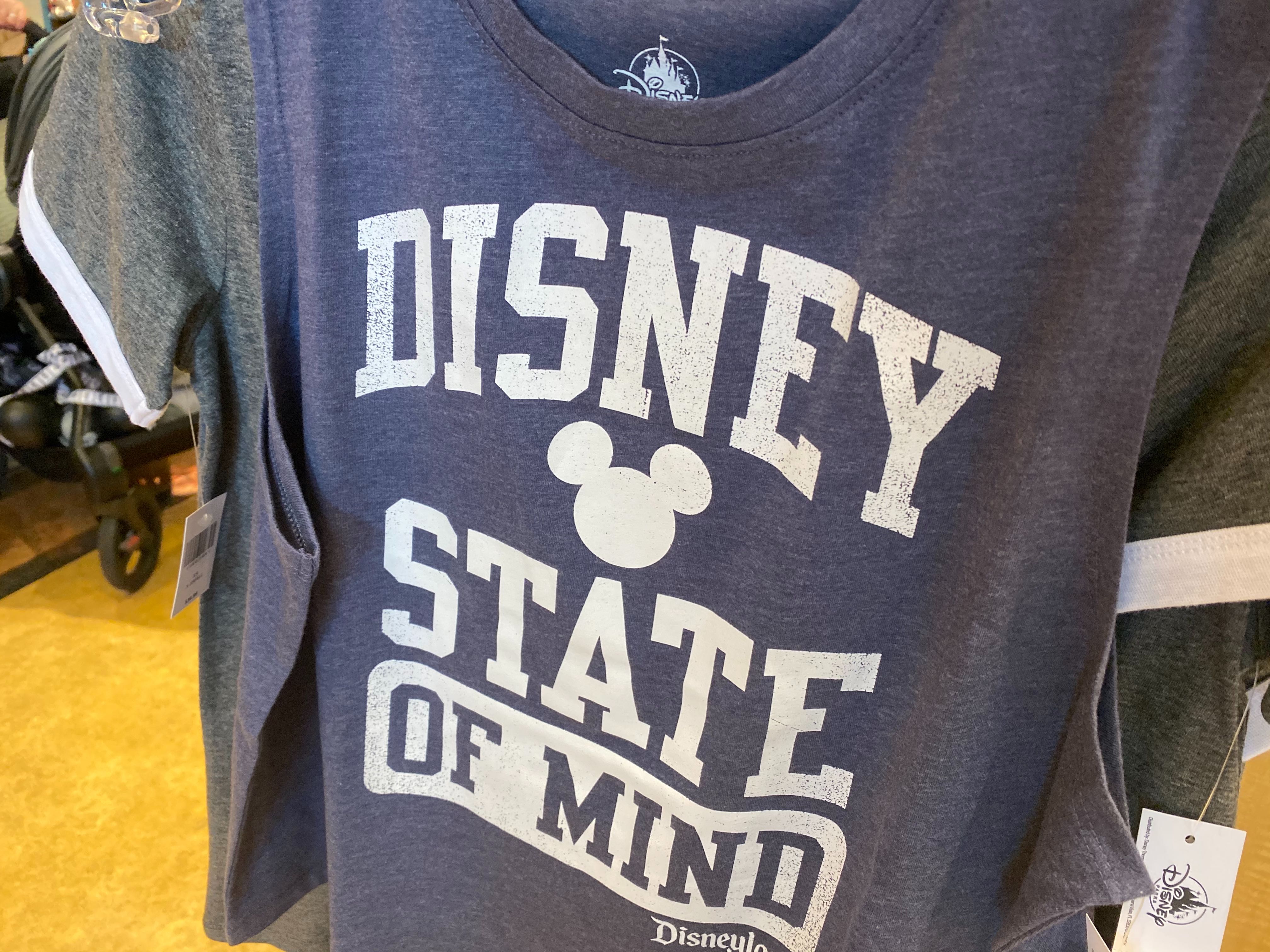 fun-day-disney-state-happiest-snacks-shirts-disneyland-02-23-2020-6.jpg