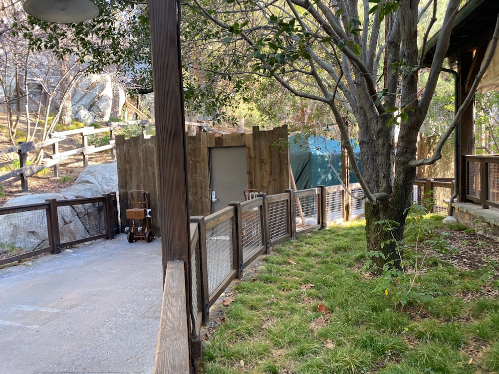 grizzly river run reopens disney california adventure february 2020 7.jpg?auto=compress%2Cformat&fit=scale&h=750&ixlib=php 1.2