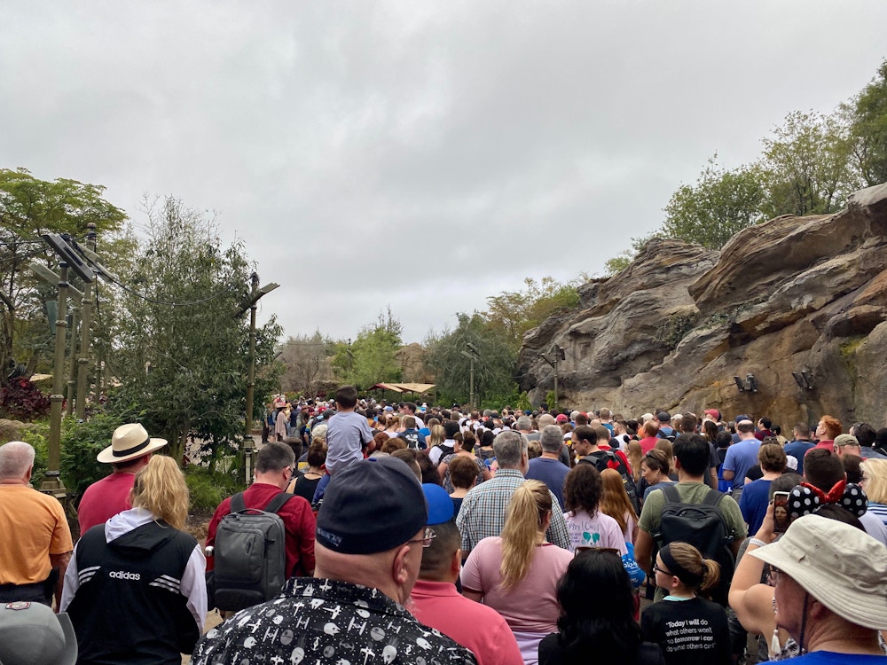 galaxies edge rope drop crowd