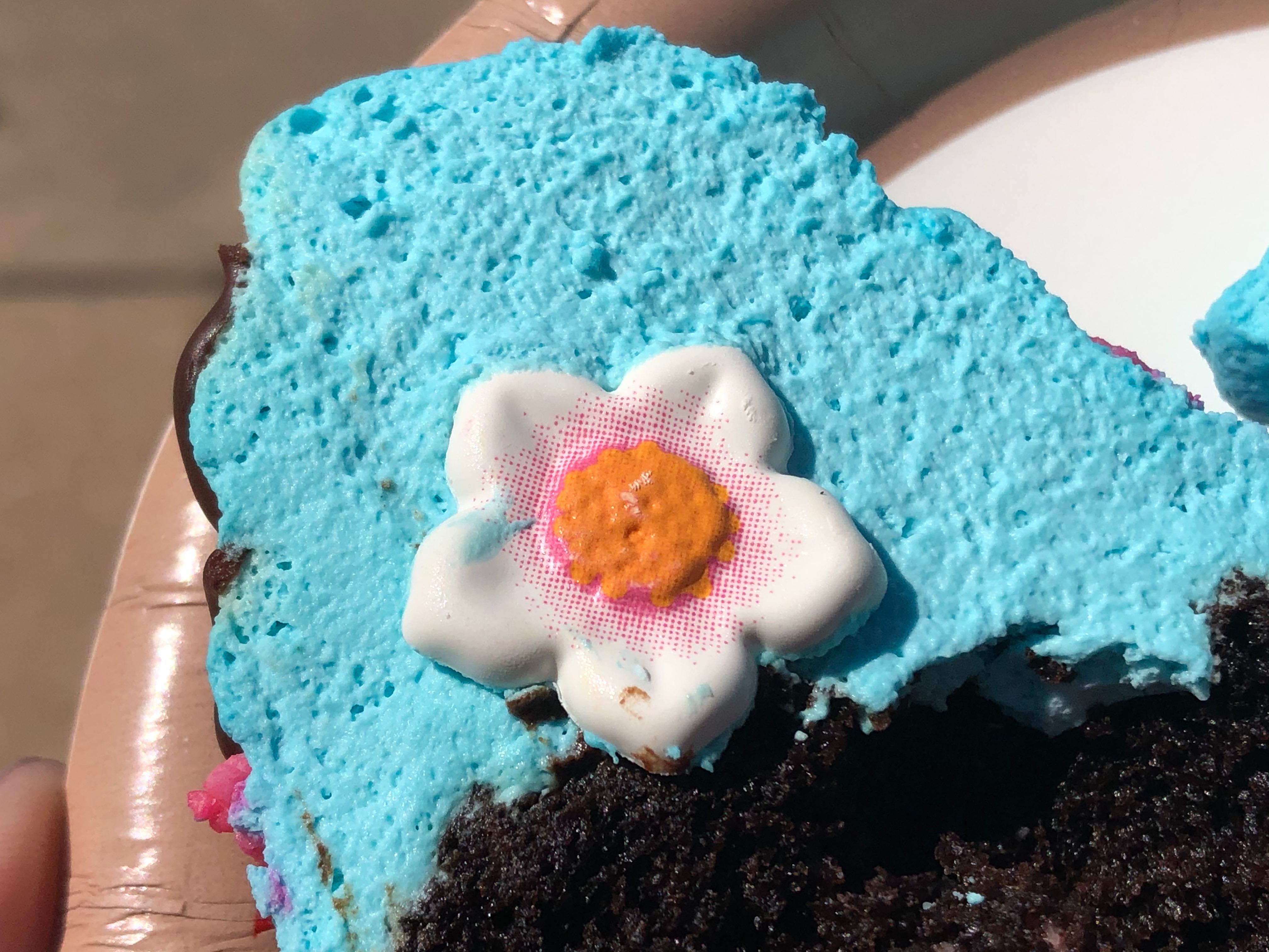 mulan-cherry-blossom-cupcake-all-star-02-02-2020-6.jpg