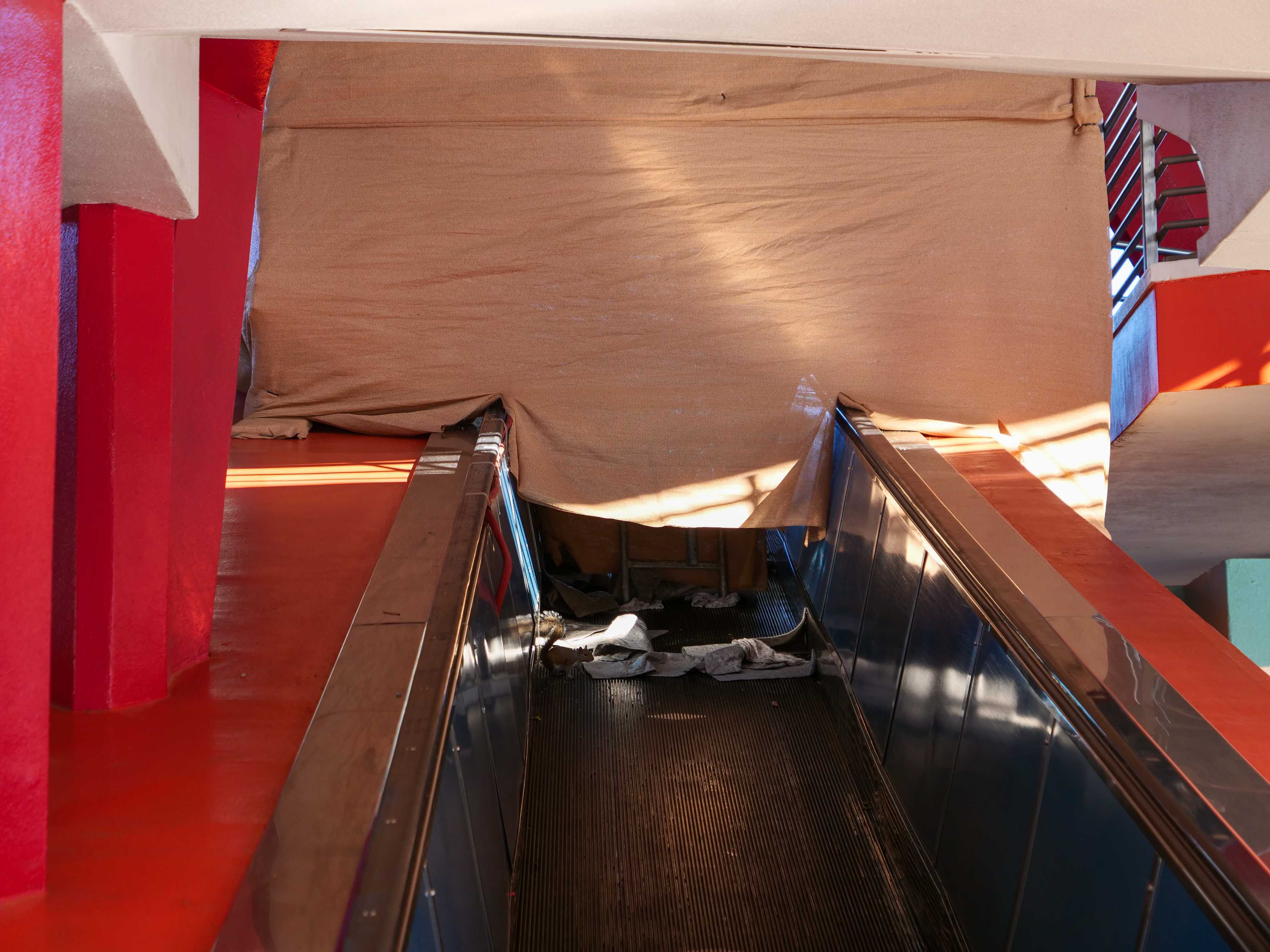peoplemover-scrim-02-08-2020-3.jpg