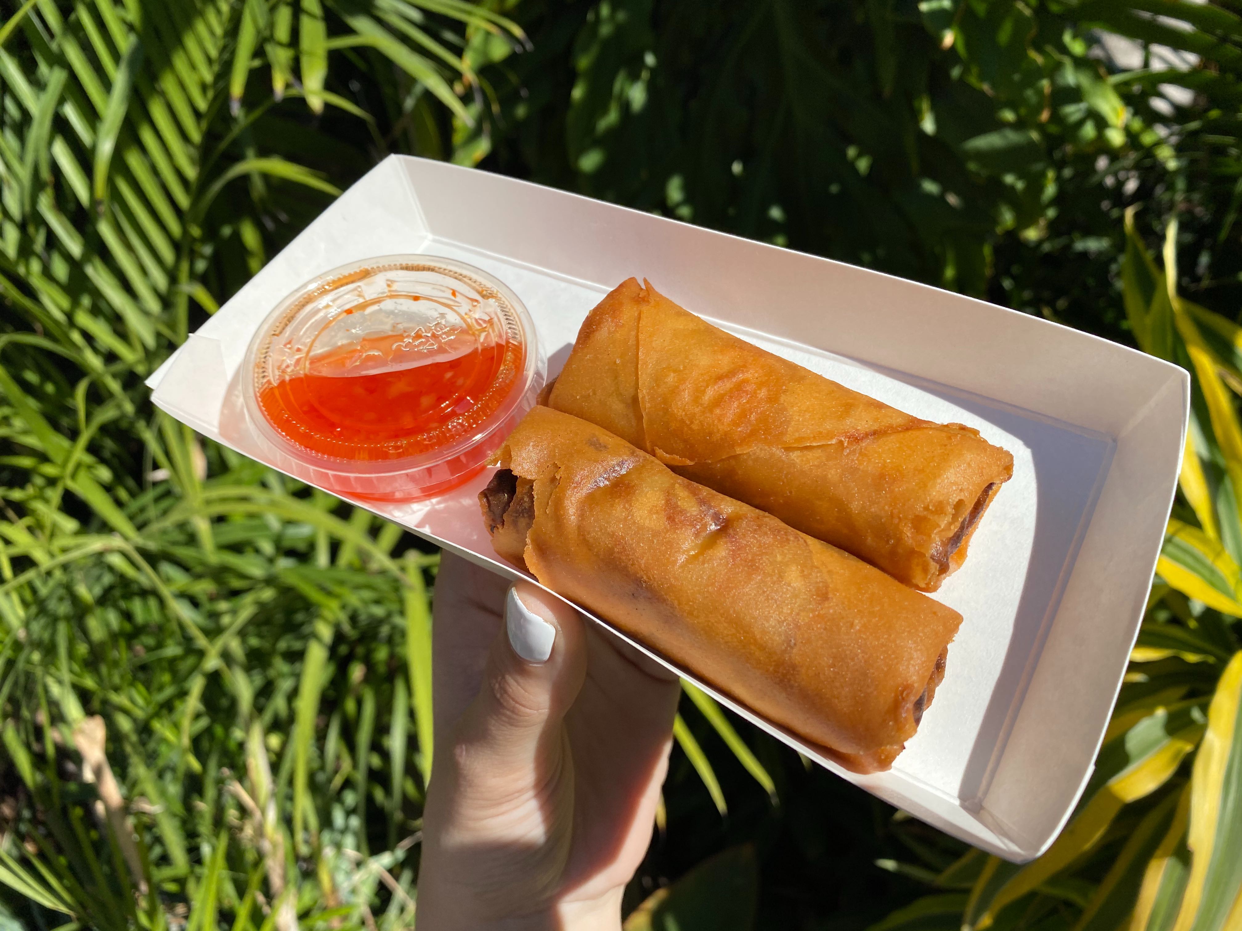 REVIEW New Savory Pork Lumpia Now Perched at Disneyland's Tropical