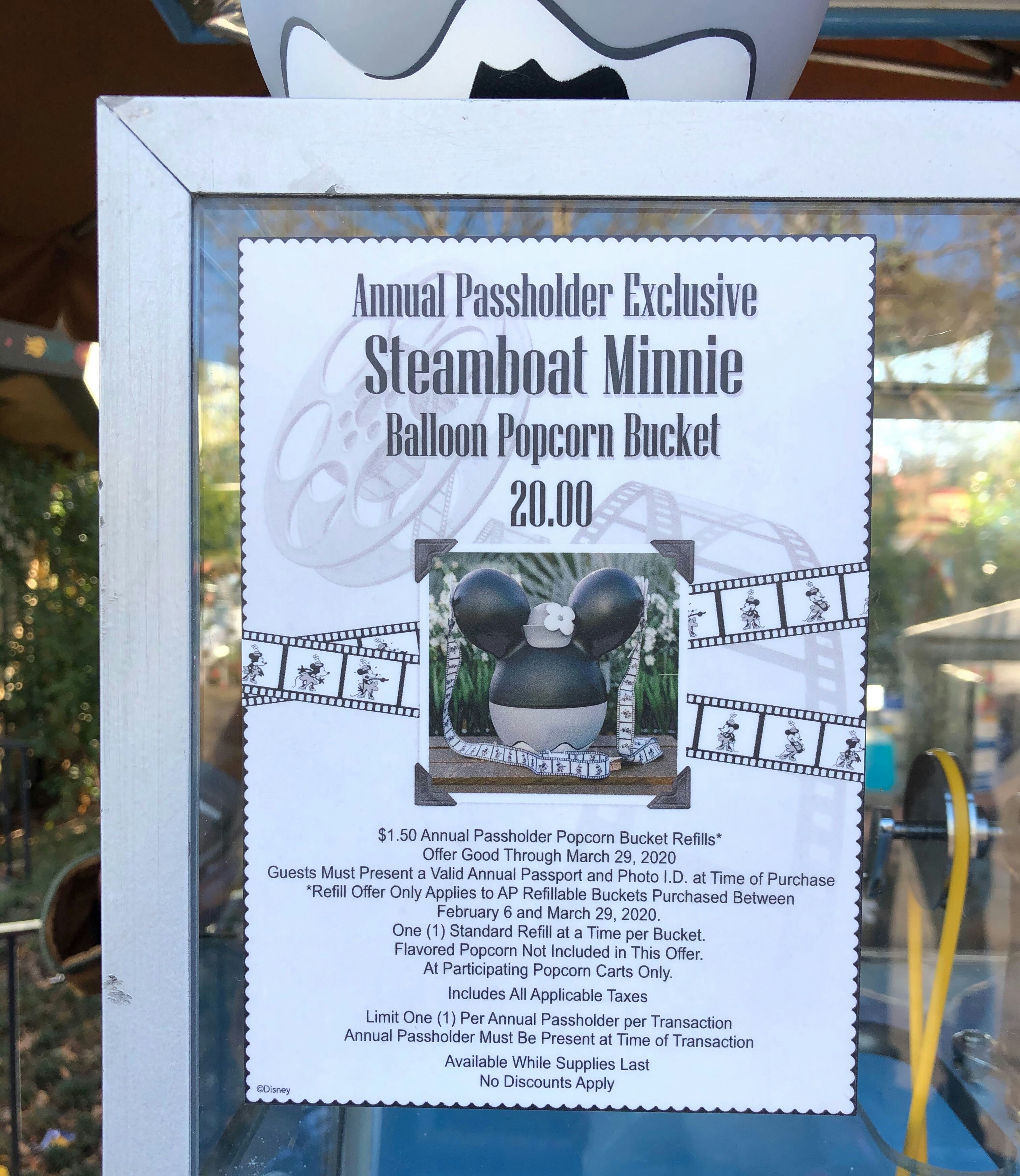 PHOTOS: New Annual Passholder Popcorn Bucket Debuts at Walt Disney World -  WDW News Today