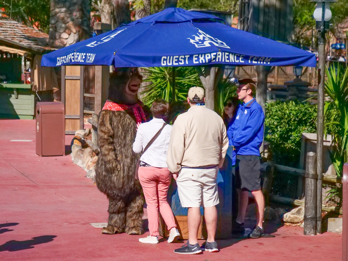 Country Bear at Guest Experience Team