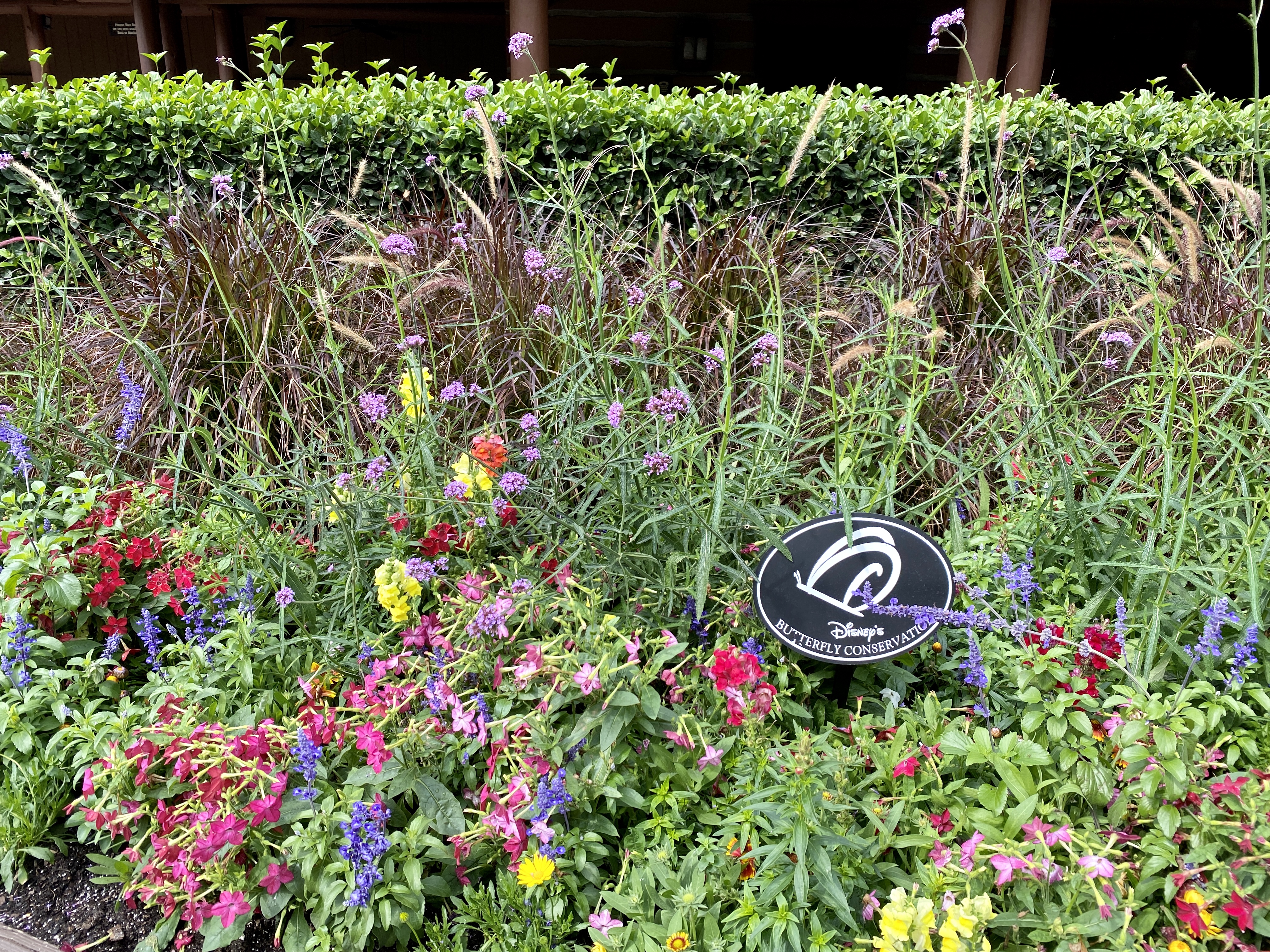 Butterfly garden fort wilderness