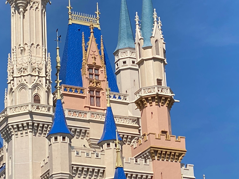 WDW Castle Paint