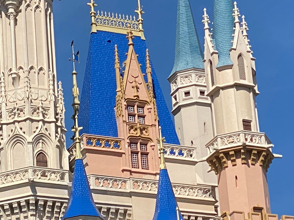 WDW Castle Paint