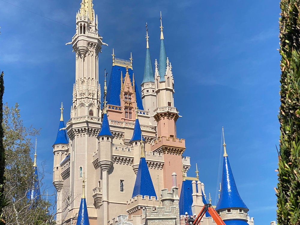 WDW Castle Paint