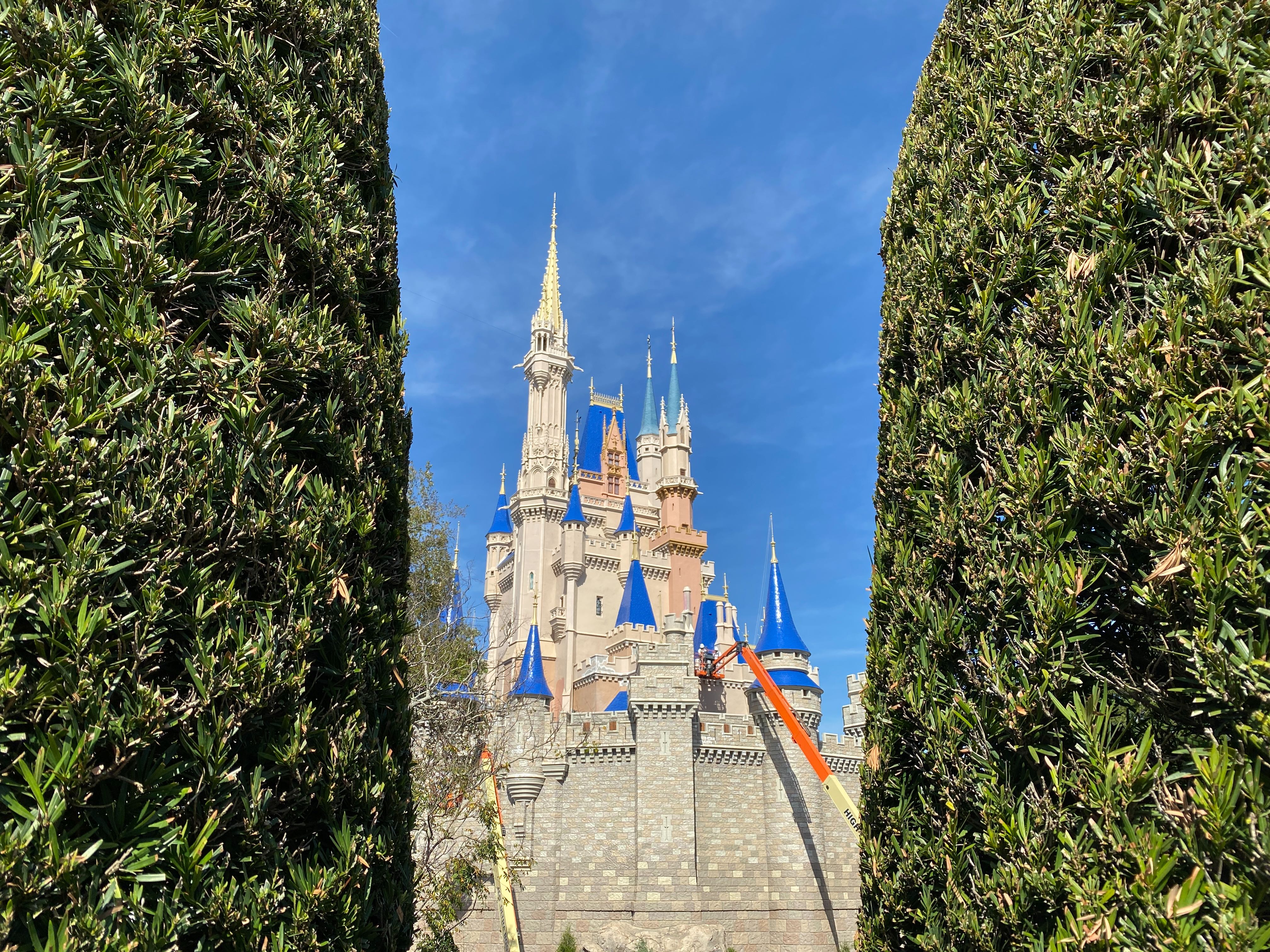 WDW Castle Paint