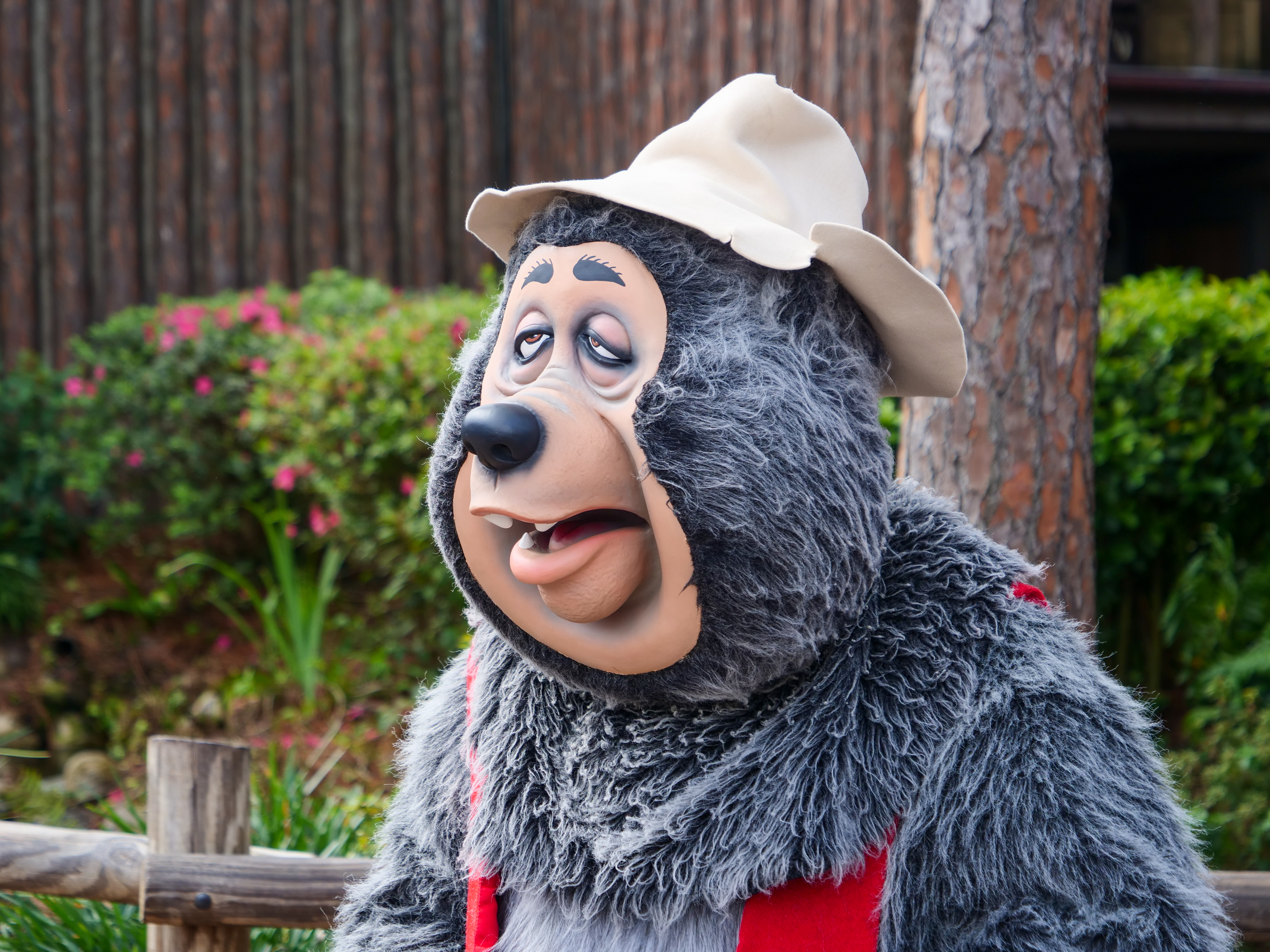 Country Bear