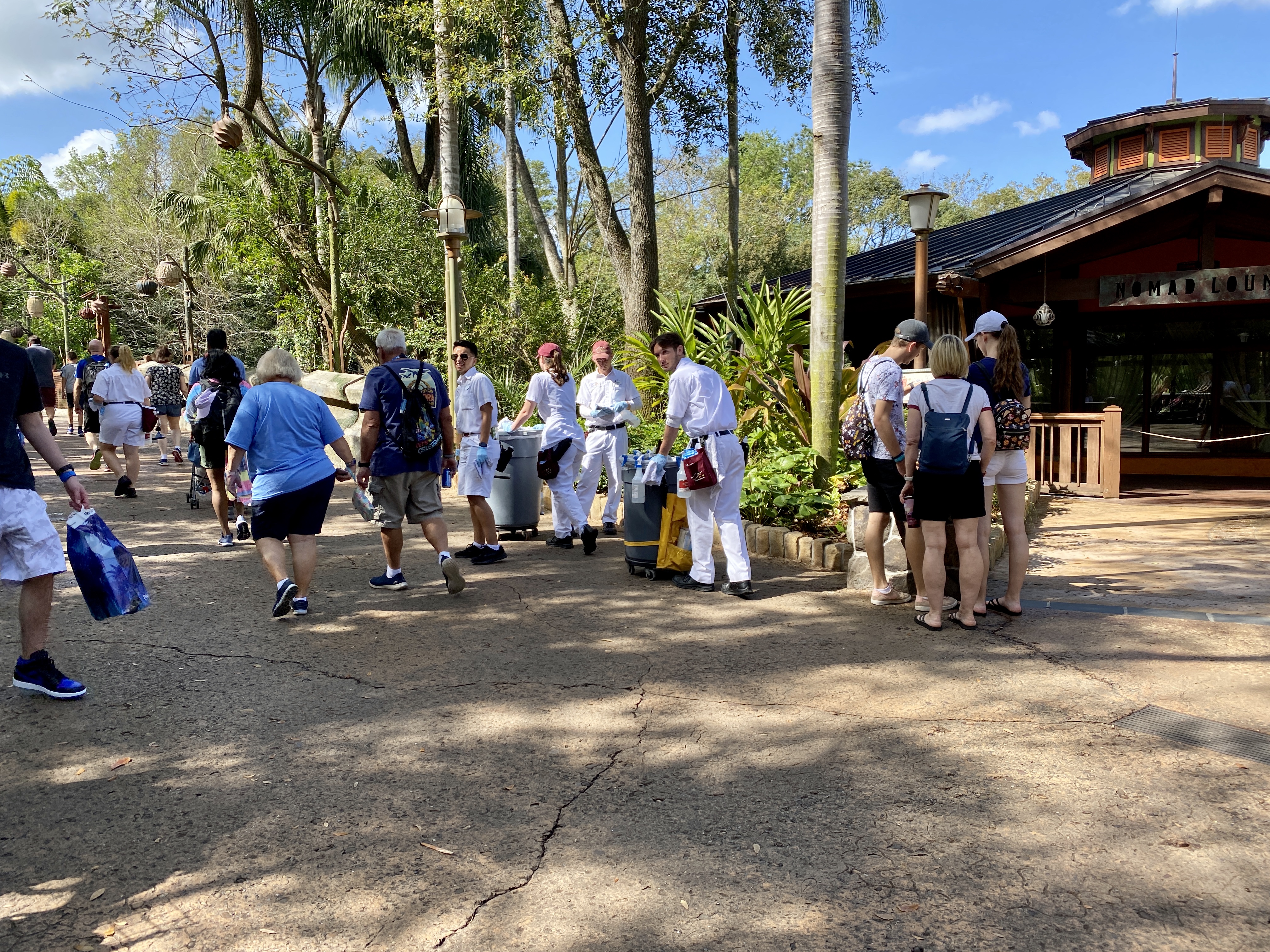 Disinfecting animal kingdom