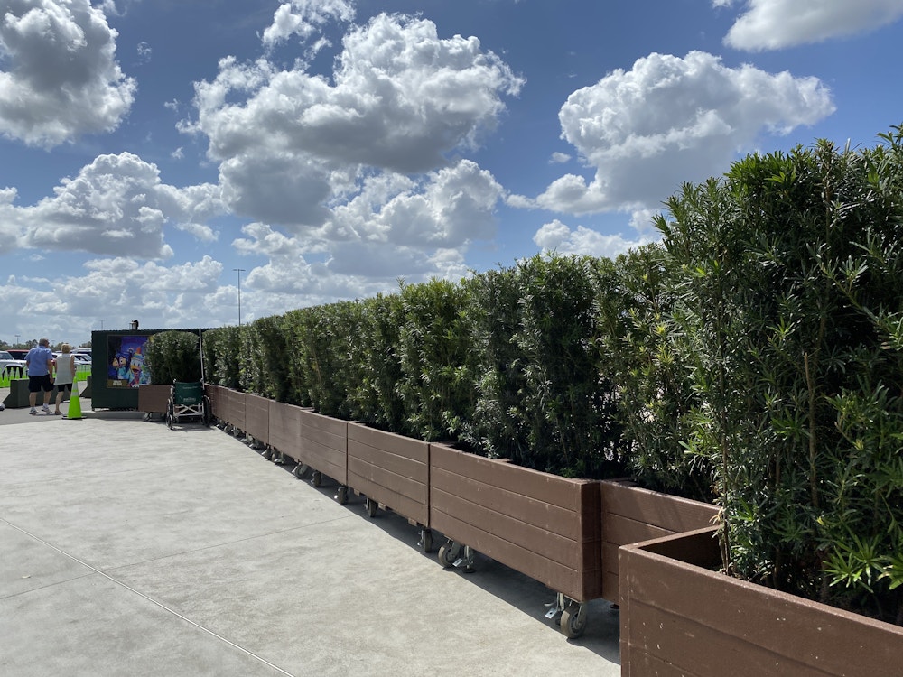 Animal kingdom entrance construction