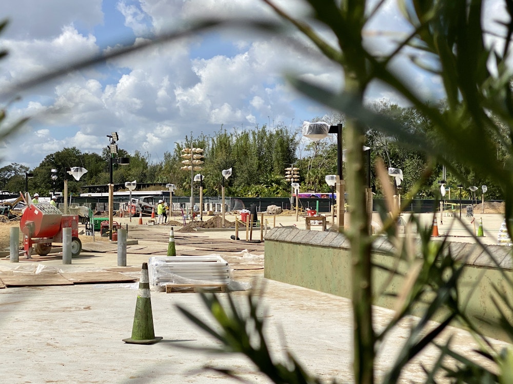 Animal kingdom entrance construction