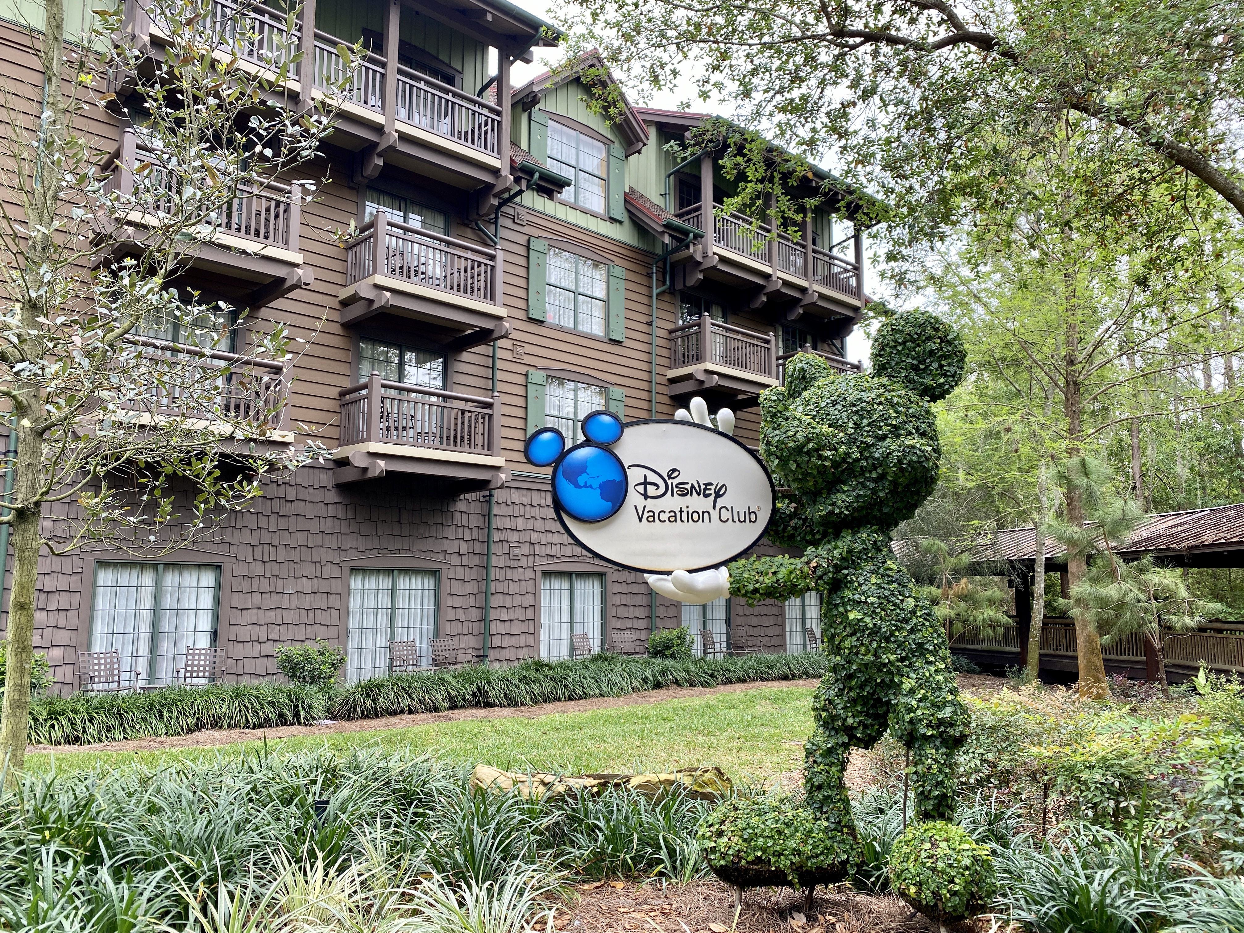 DVC topiary
