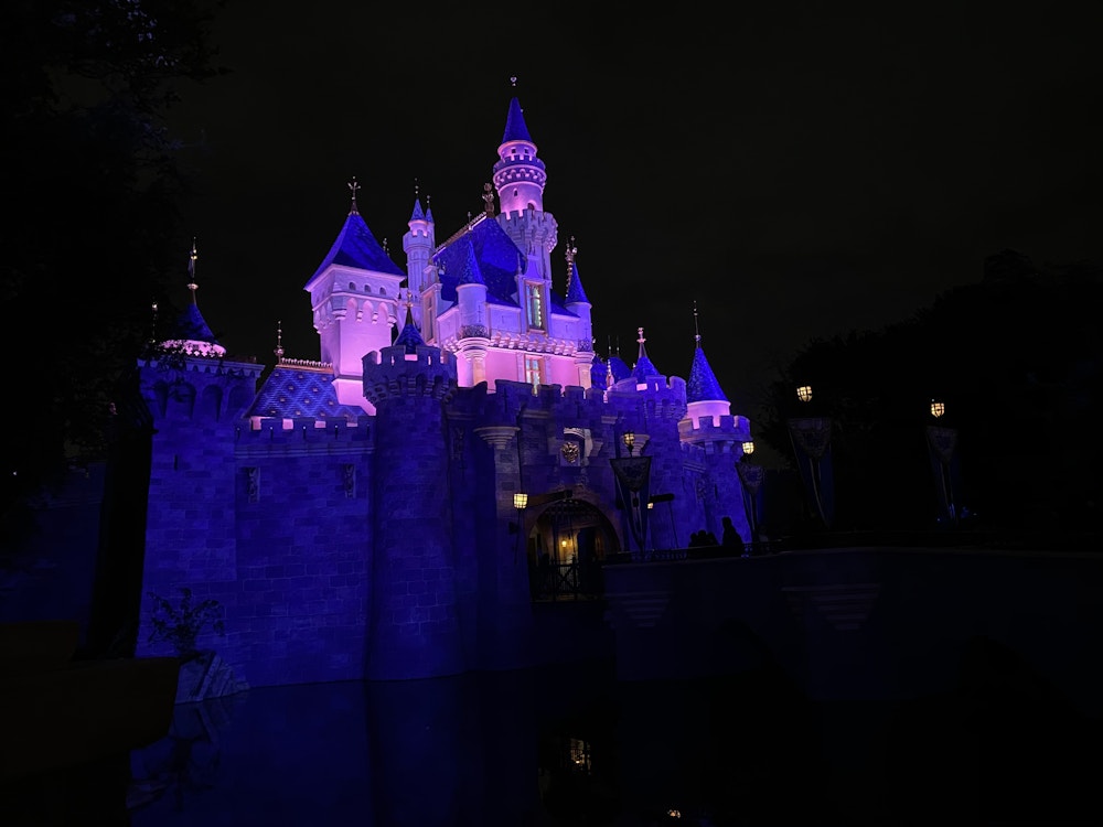 sleeping beauty castle