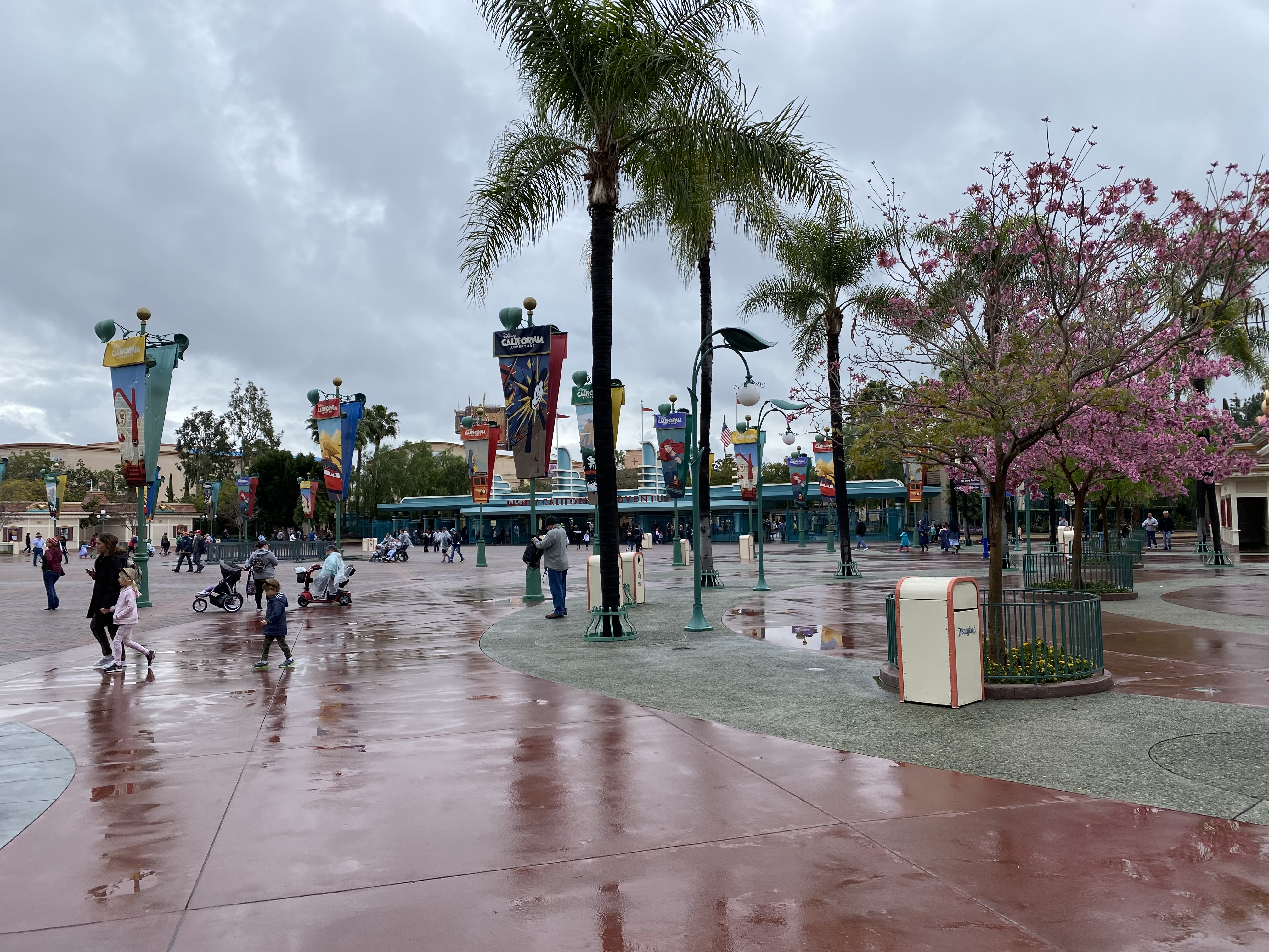 esplanade dl