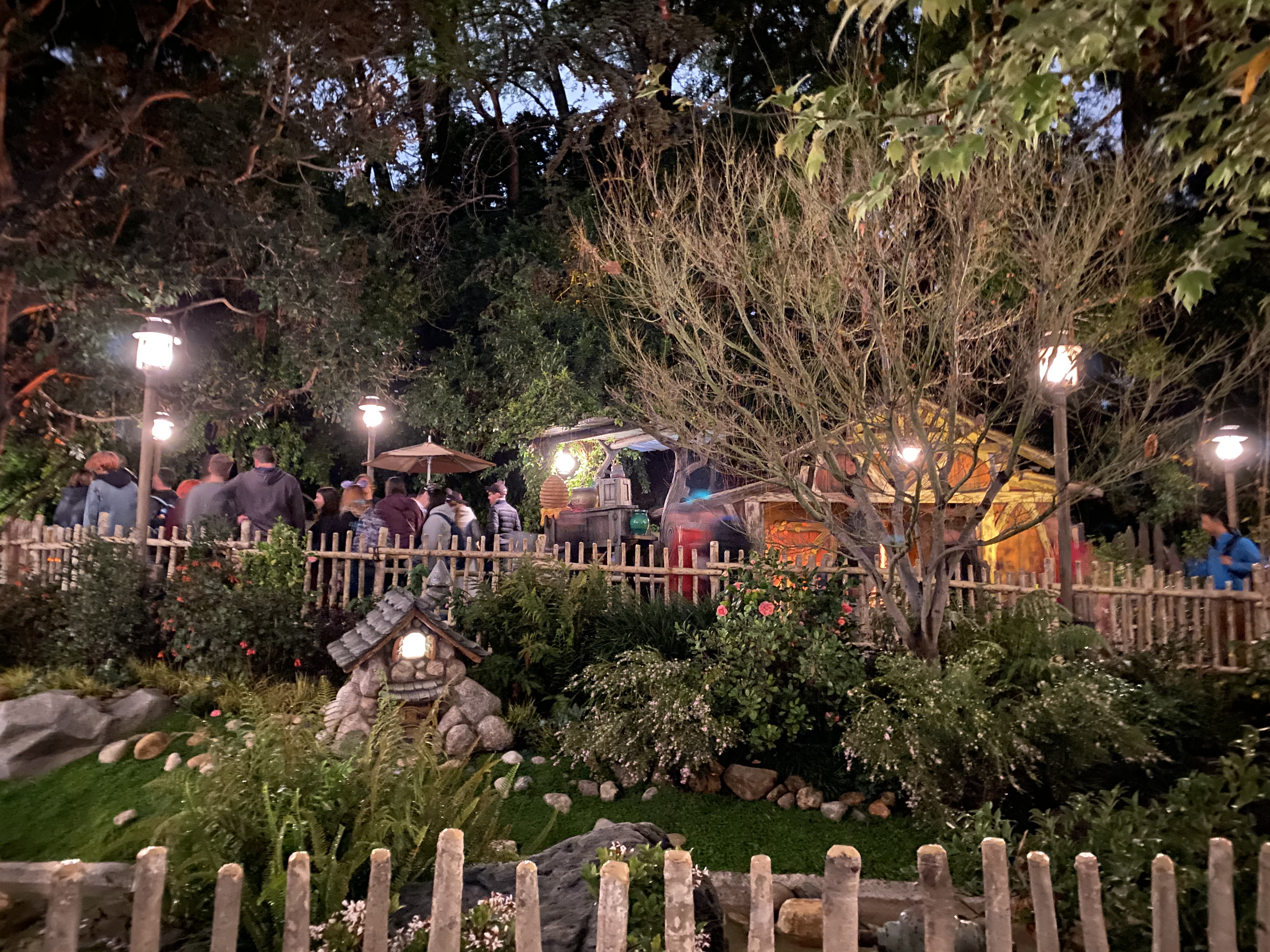 disneyland final day