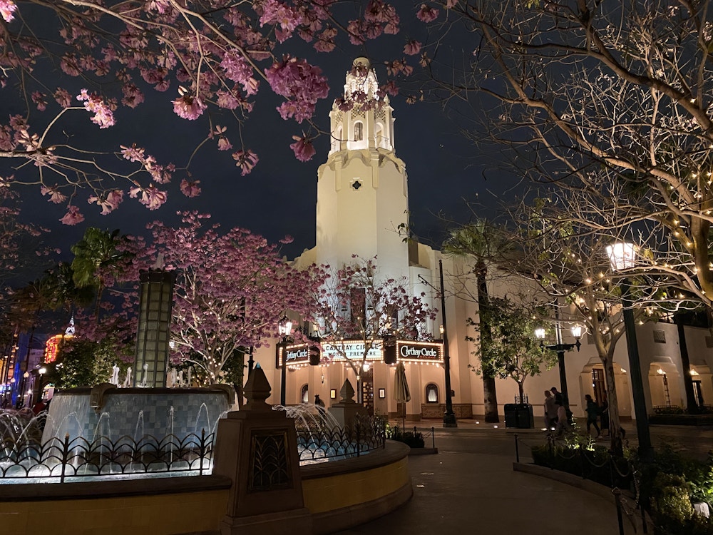 buena vista street