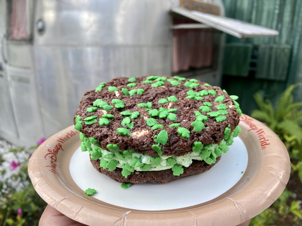 Mint chocolate chip ice cream sandwich