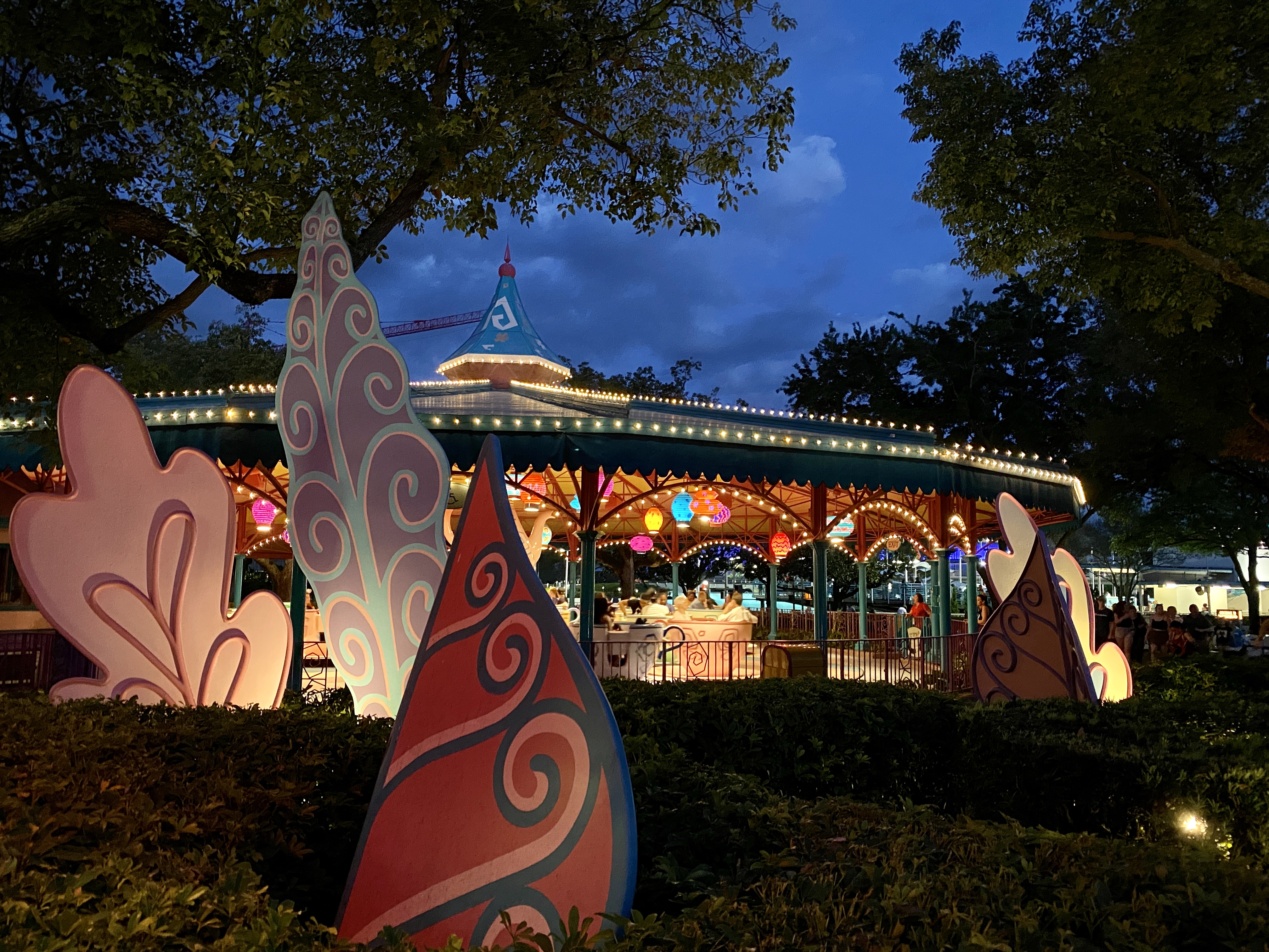 Teacups