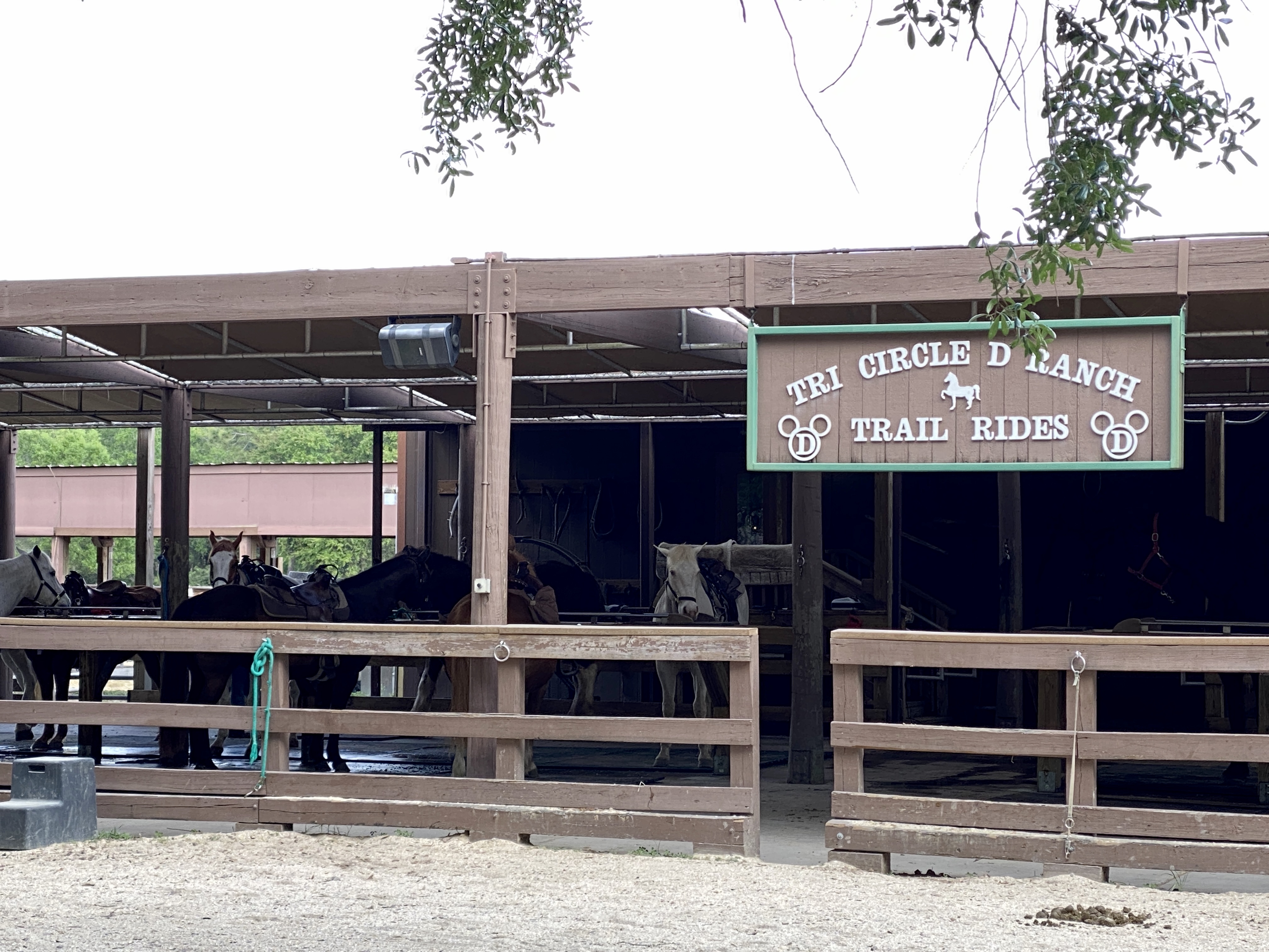 Tri cirlce d ranch trail rides