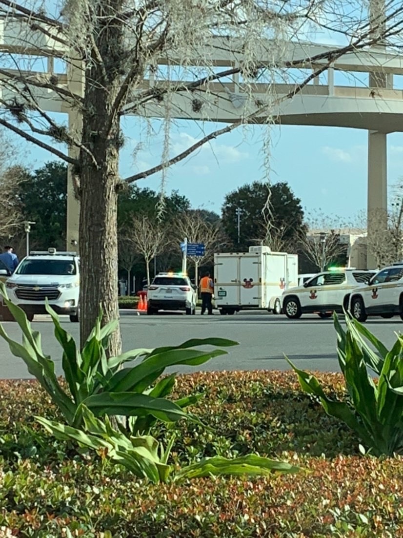 Woman Reportedly Falls Four Stories from Universal Orlando Resort Parking  Garage - WDW News Today