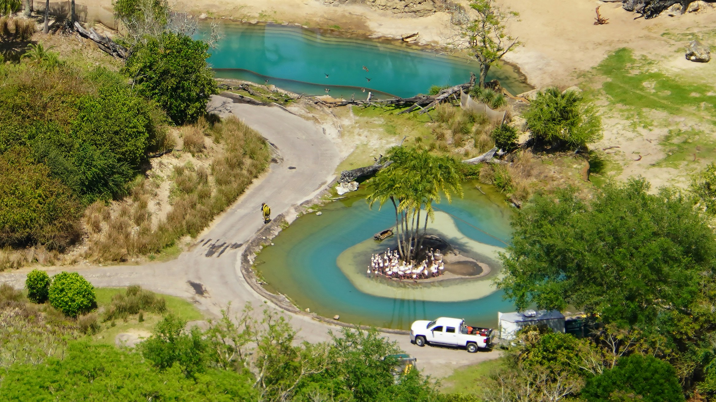 aerial images closed disneys animal kingdom covid 19 bioreconstruct 4.jpeg?auto=compress%2Cformat&ixlib=php 1.2