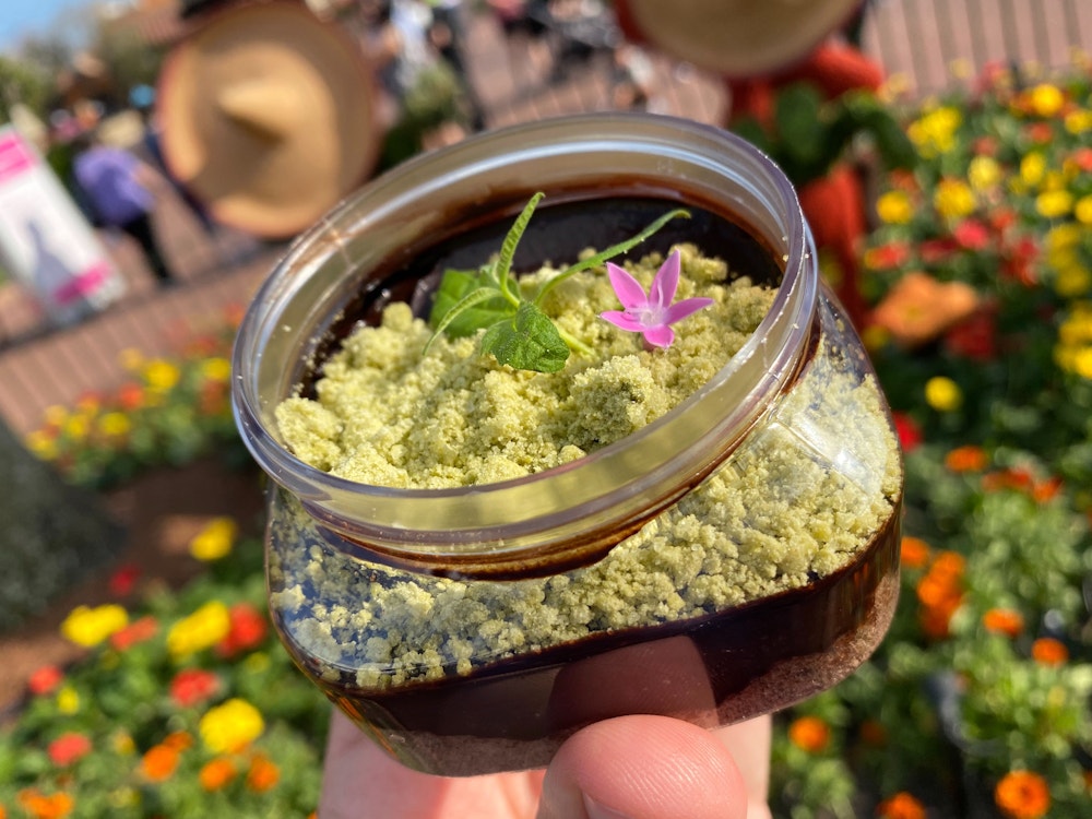 chocolate pudding terrarium trowel trellis 2020 epcot international flower garden festival 1.jpg?auto=compress%2Cformat&fit=scale&h=750&ixlib=php 1.2