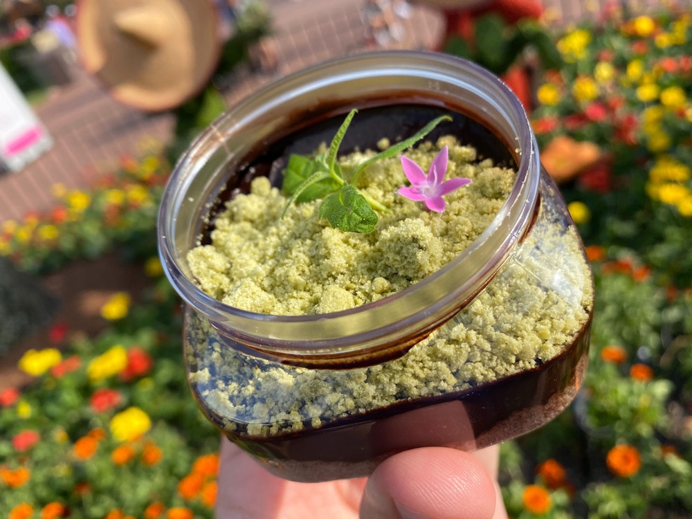 chocolate pudding terrarium trowel trellis 2020 epcot international flower garden festival 2.jpg?auto=compress%2Cformat&fit=scale&h=750&ixlib=php 1.2