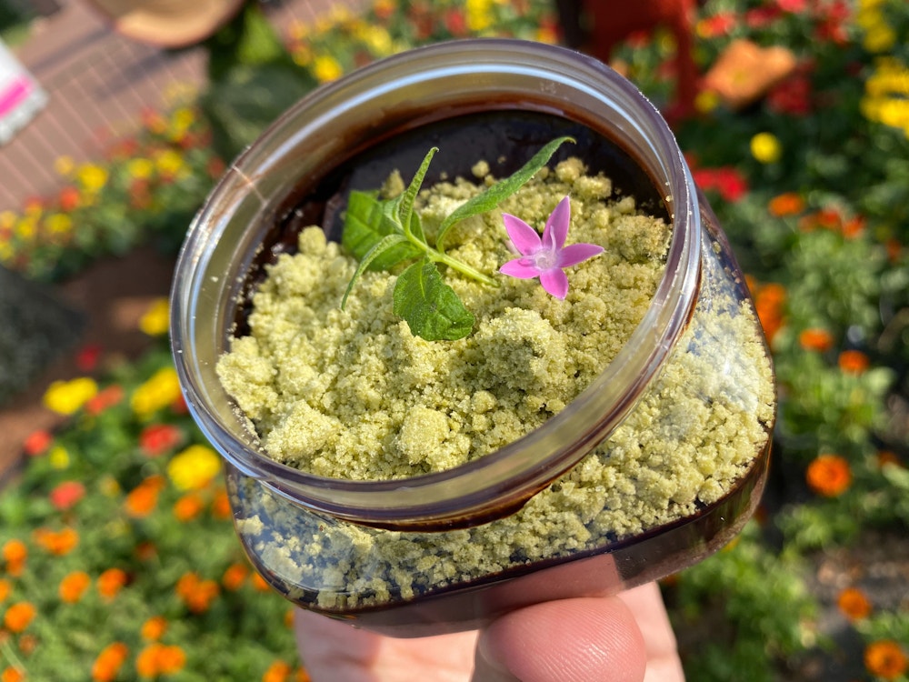 chocolate pudding terrarium trowel trellis 2020 epcot international flower garden festival 3.jpg?auto=compress%2Cformat&fit=scale&h=750&ixlib=php 1.2