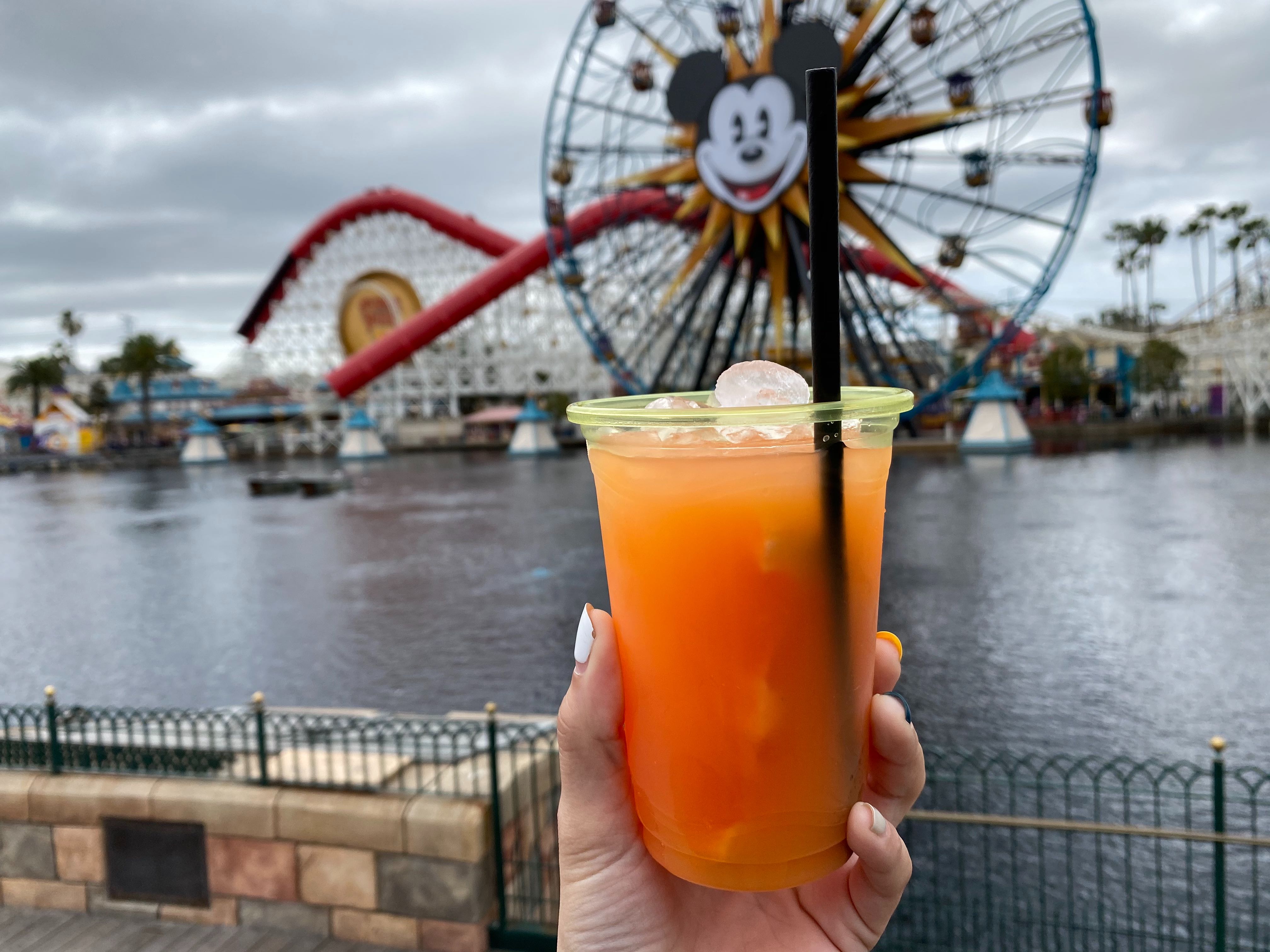 garlic kissed food wine dca