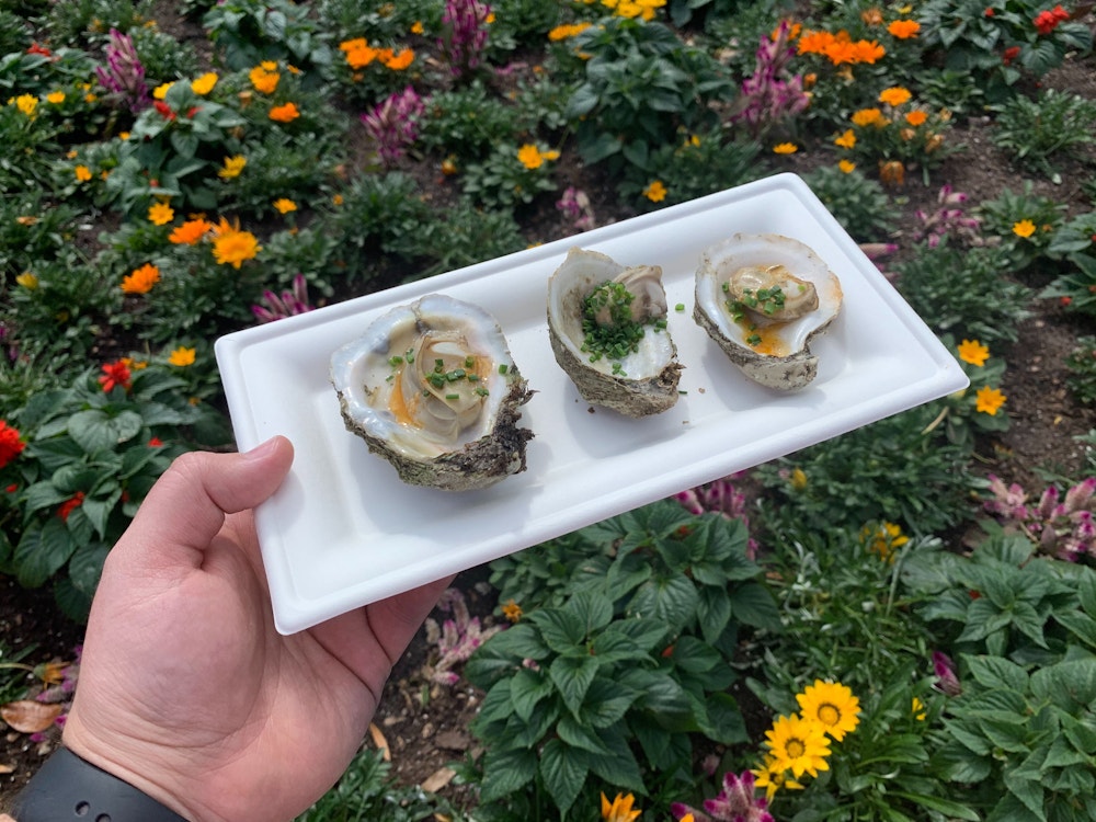 grilled oysters magnolia terrace 2020 epcot international flower garden festival 9.jpg?auto=compress%2Cformat&fit=scale&h=750&ixlib=php 1.2