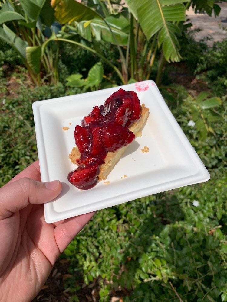 mixed berry cake pineapple promenade 2020 epcot international flower garden festival 4.jpg?auto=compress%2Cformat&fit=scale&h=1000&ixlib=php 1.2