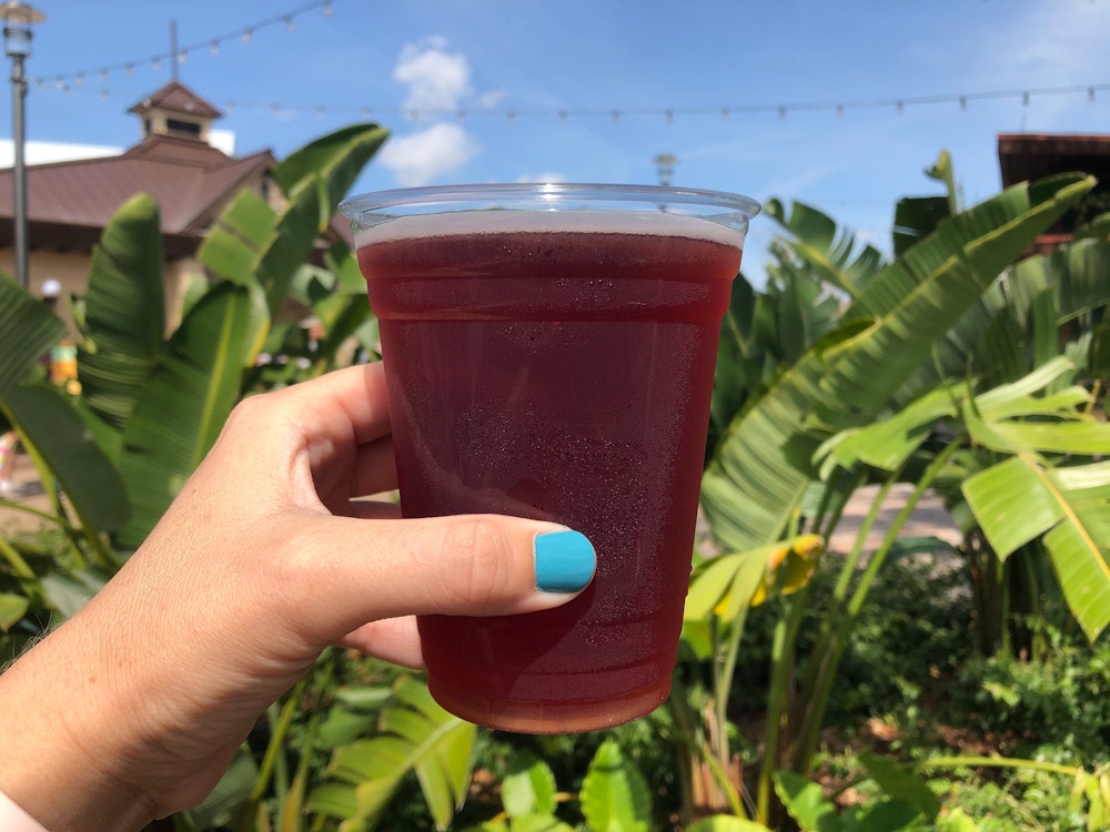 squishy hard cider refreshment port 2020 epcot international flower garden festival 1.jpg?auto=compress%2Cformat&fit=scale&h=750&ixlib=php 1.2